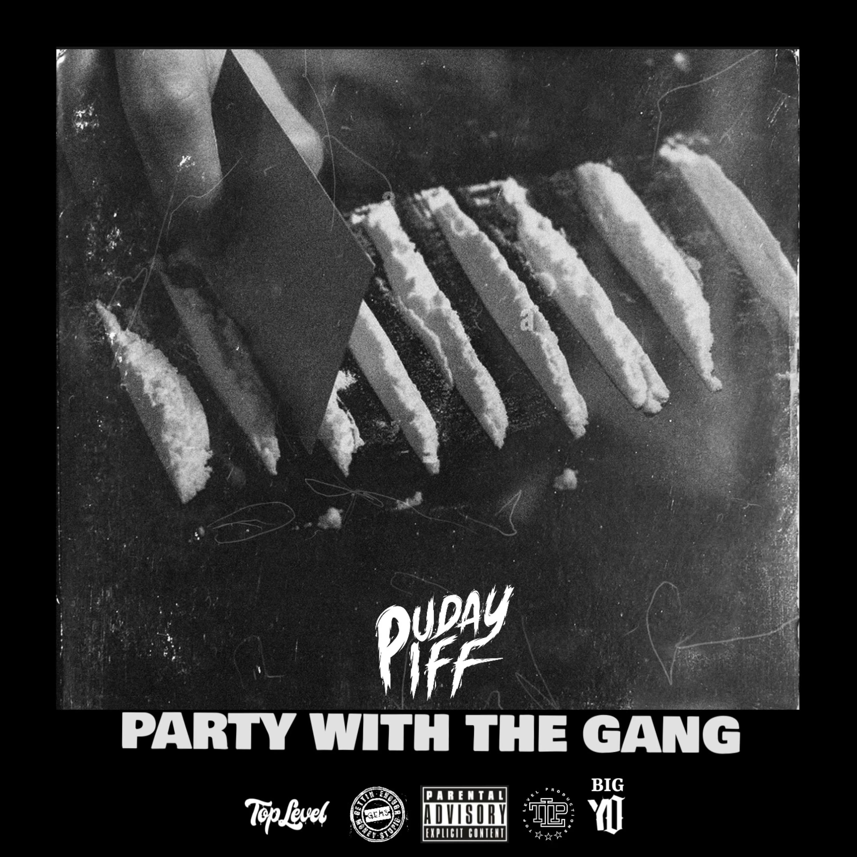 Party With The Gang artwork
