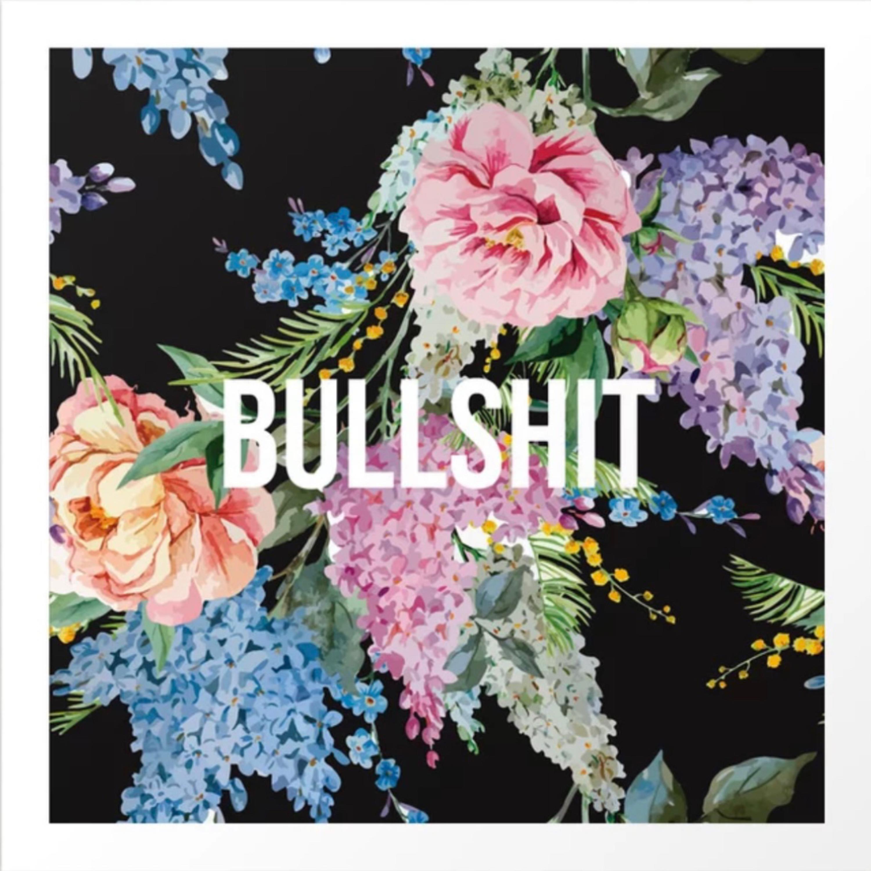 Bullshit artwork