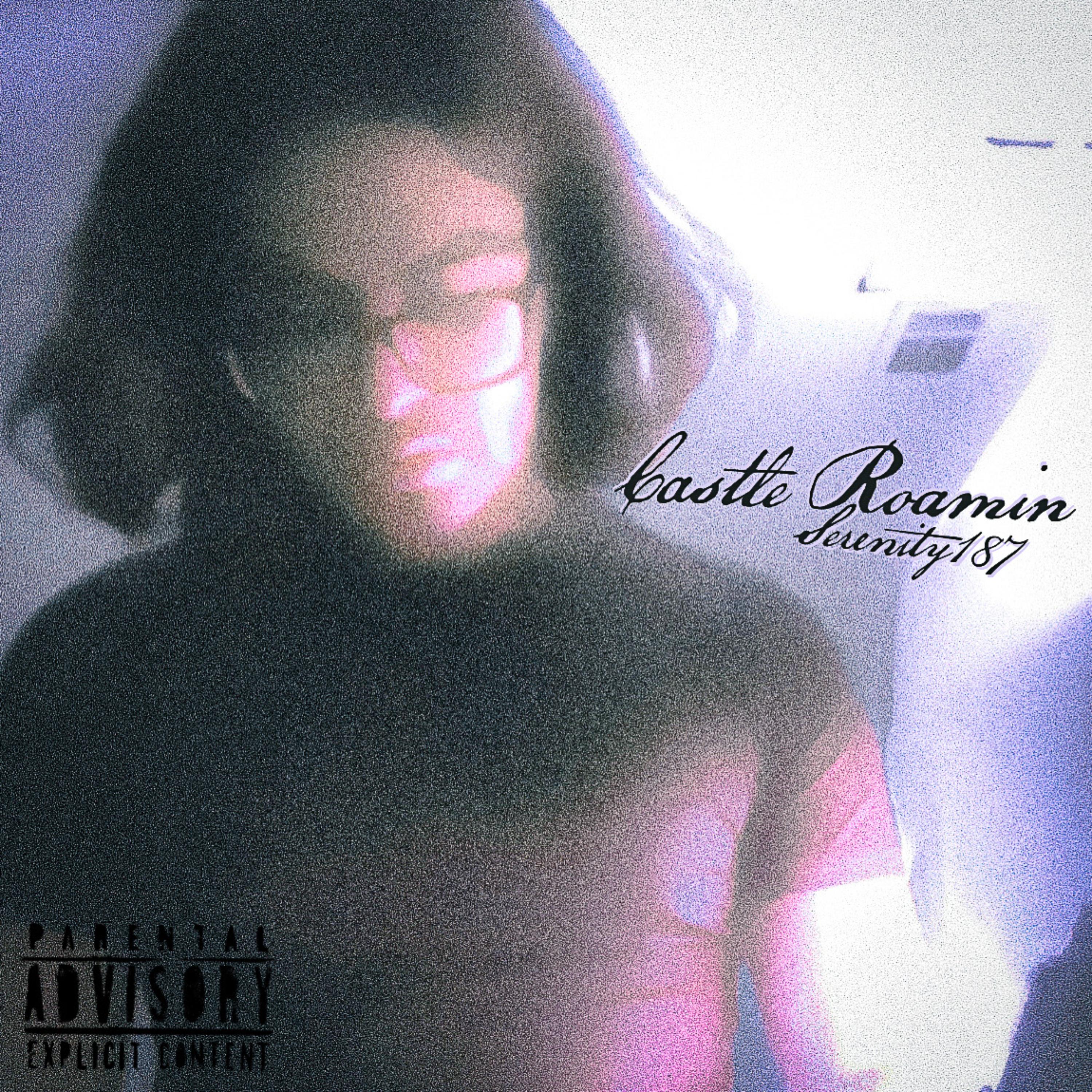 Castle Roamin' artwork