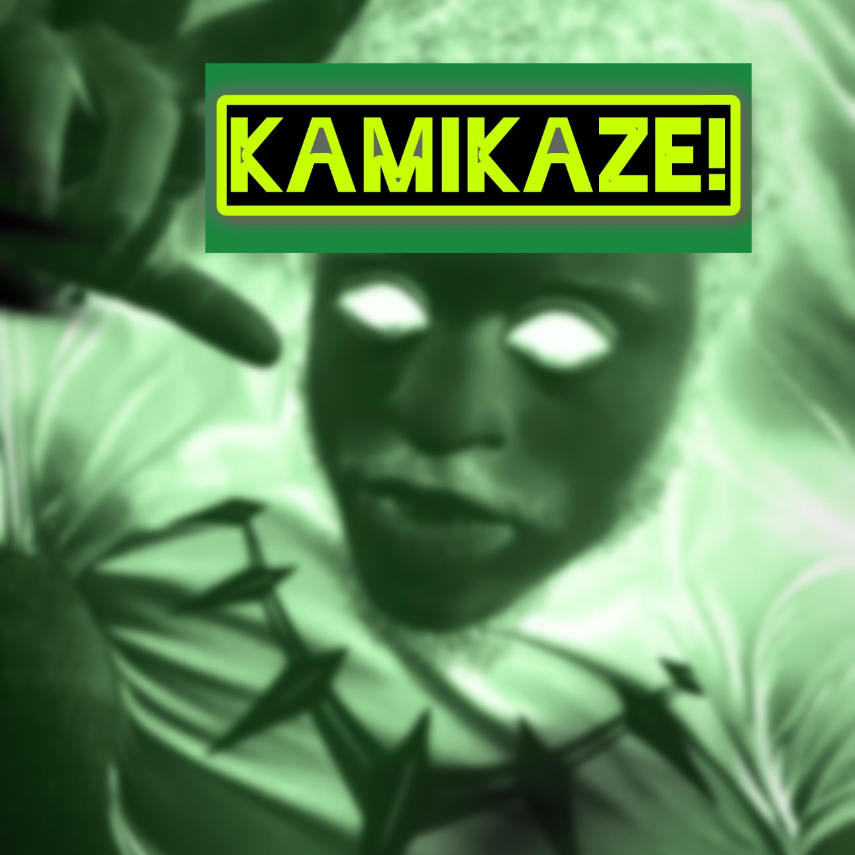 Kamikaze! by ImFamousPrince cover art