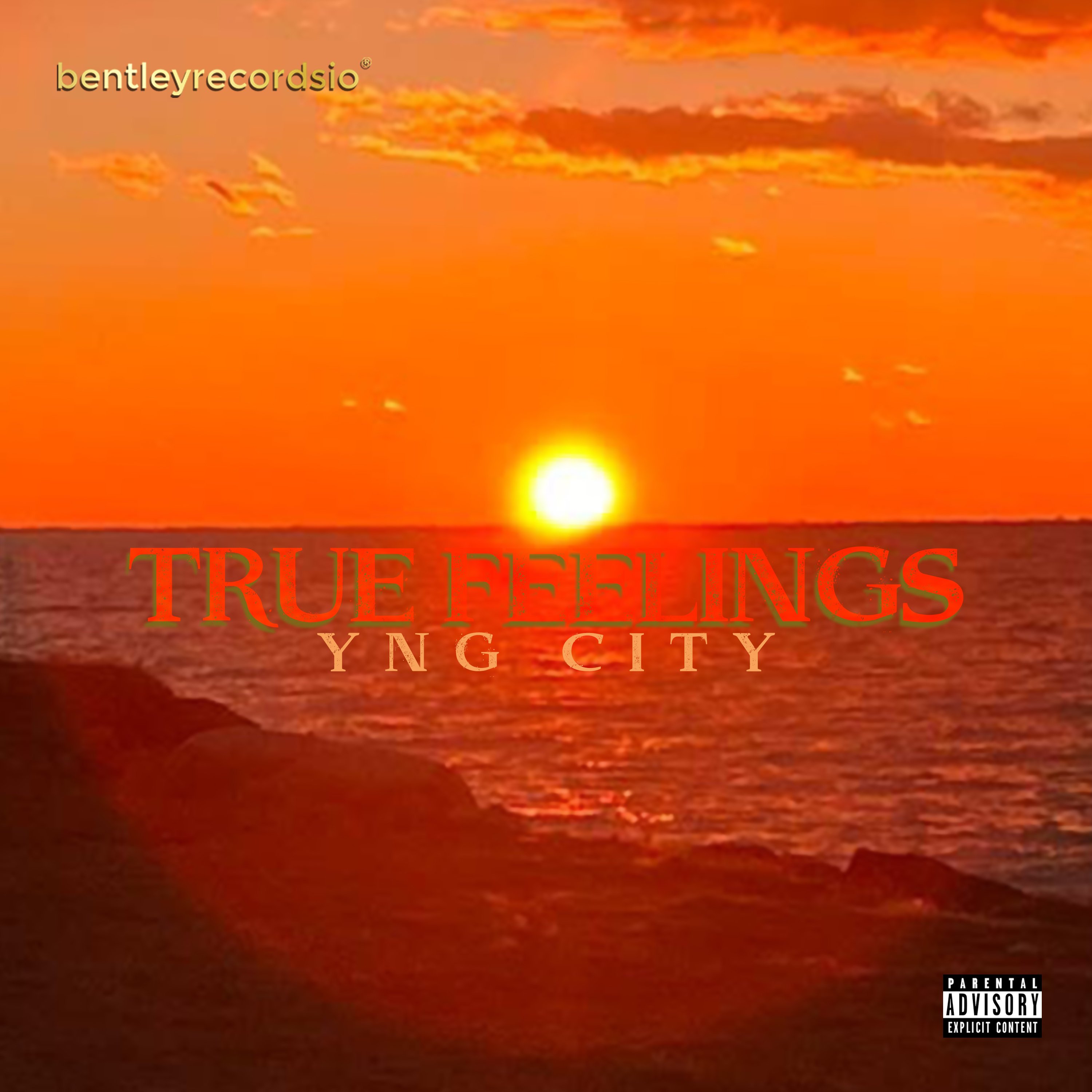 True Feelings artwork