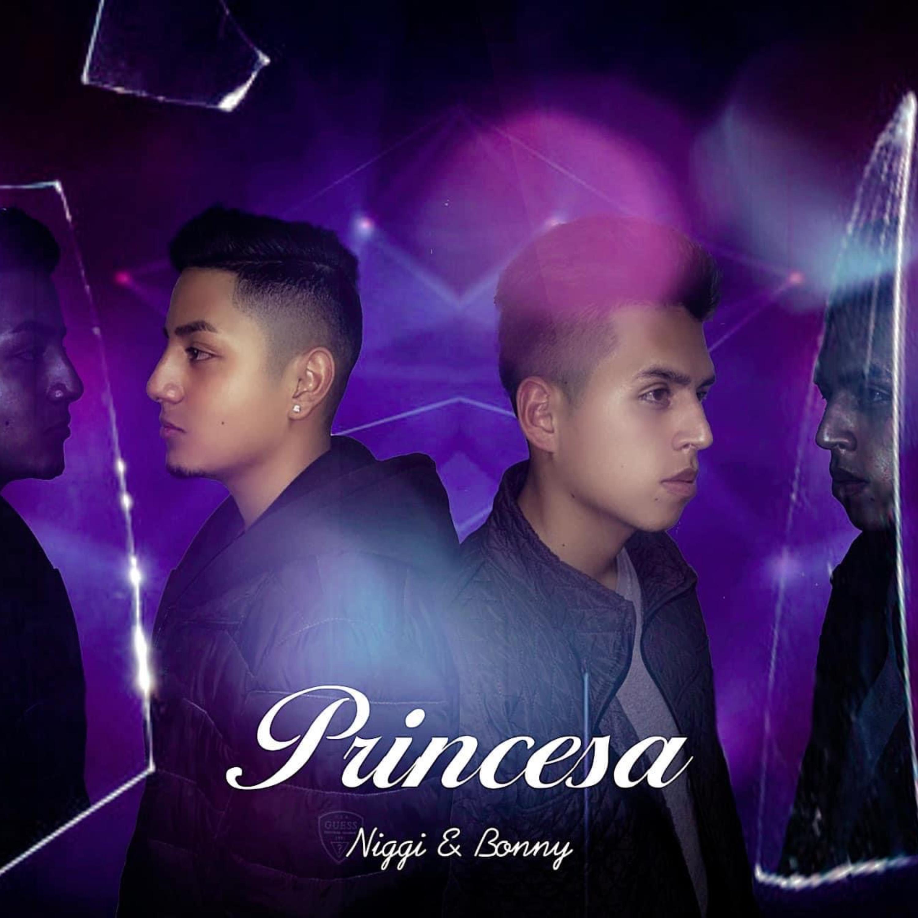 Princesa artwork
