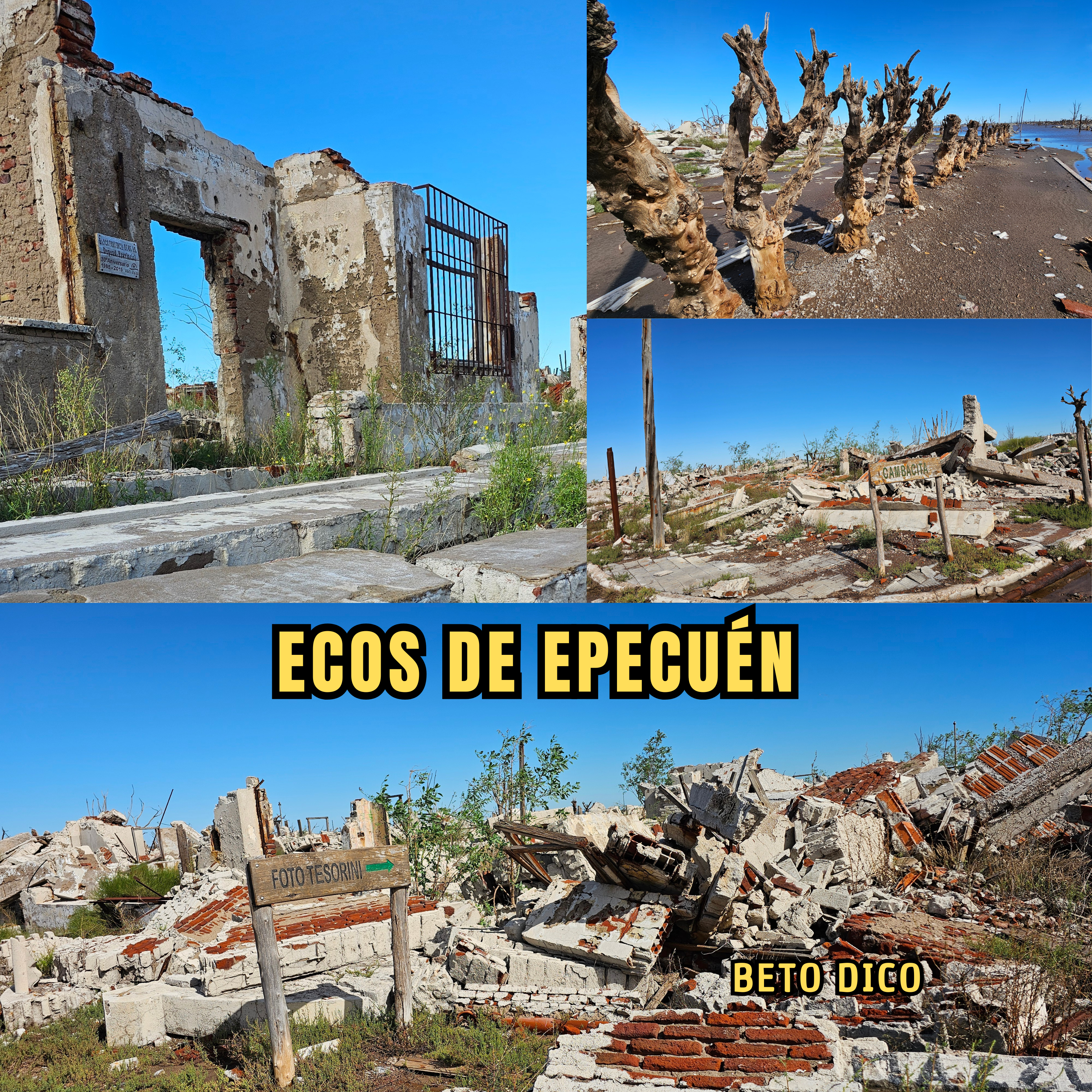 ECOS DE EPECUÉN artwork