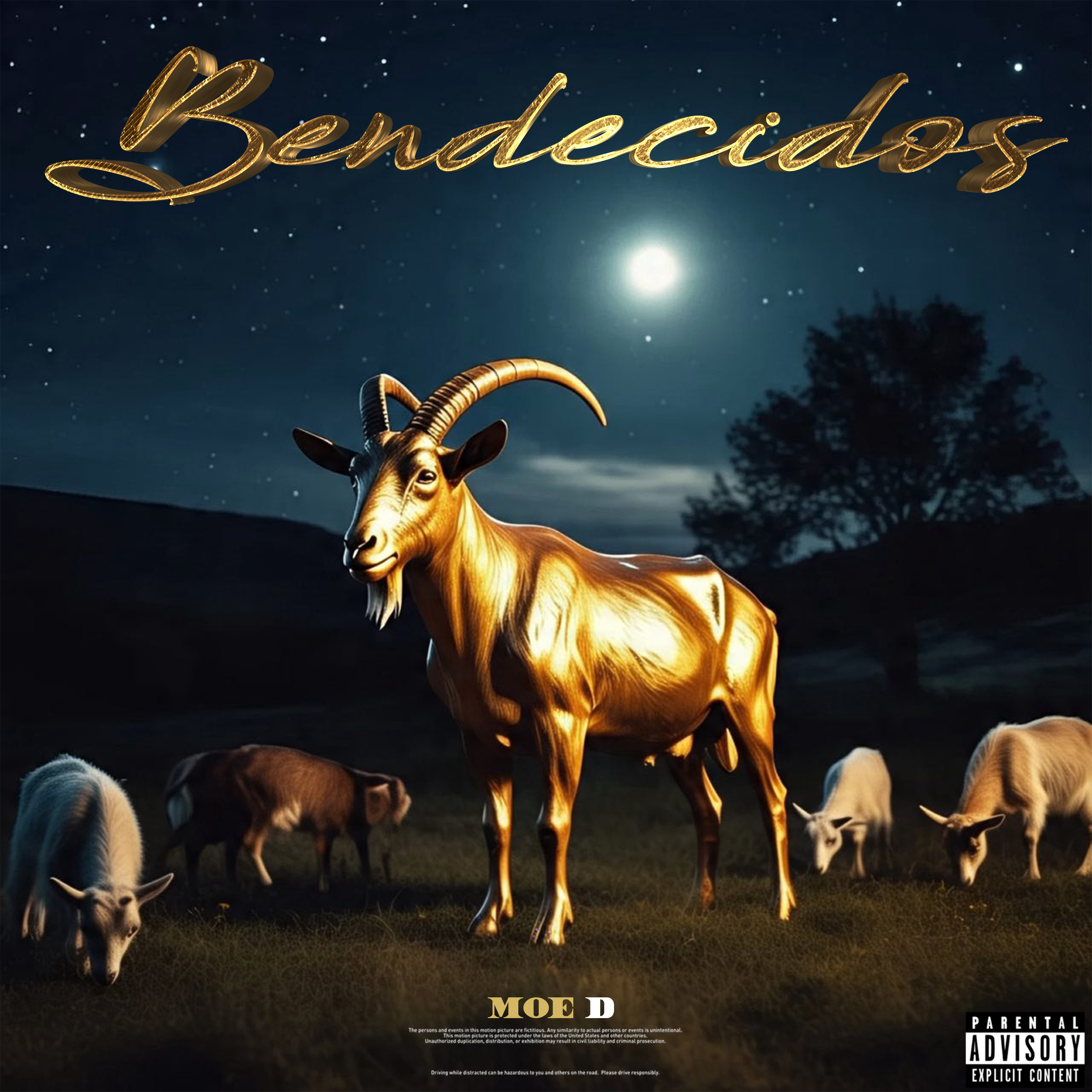 BENDECIDOS artwork