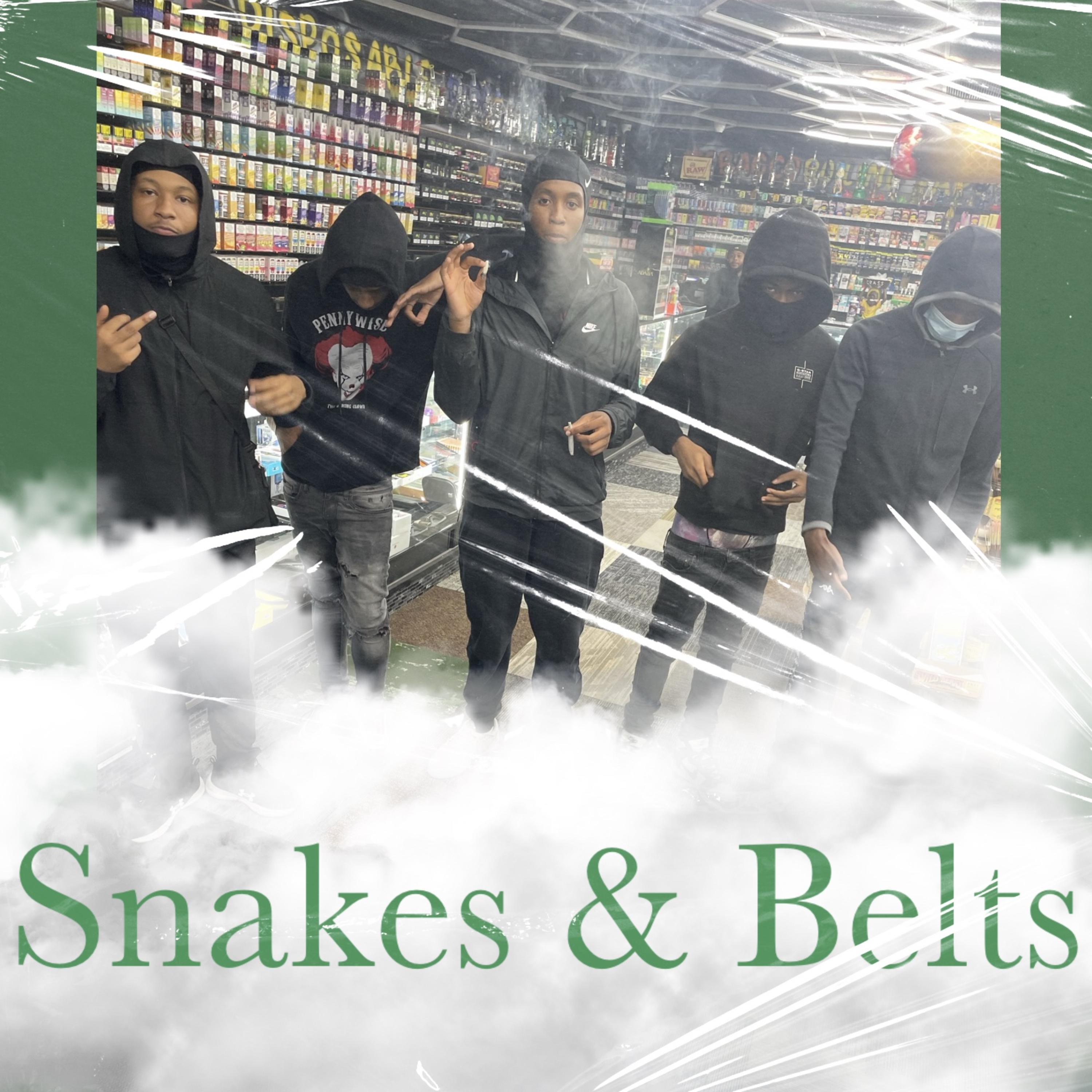 Snakes & Belts artwork