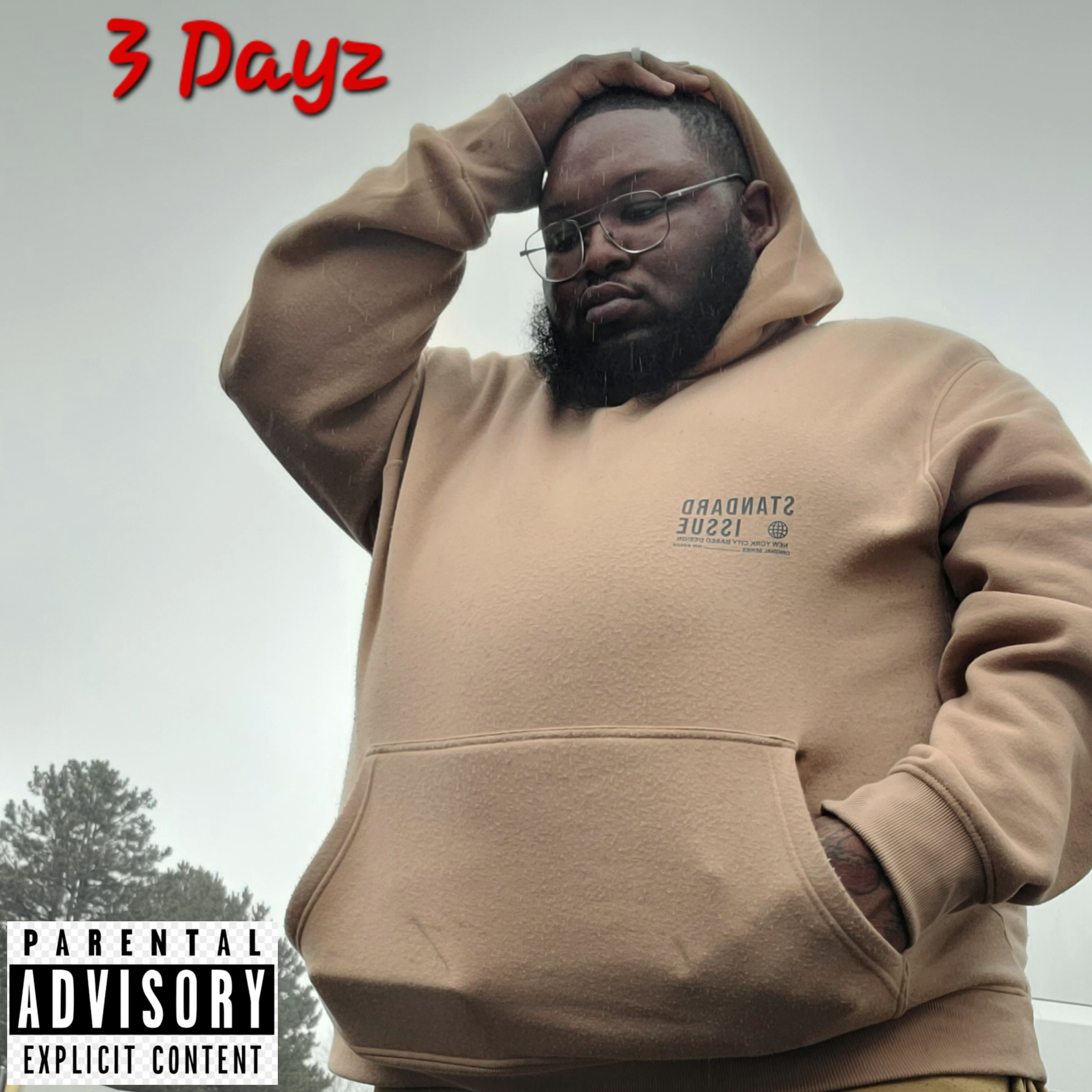 3 Dayz artwork