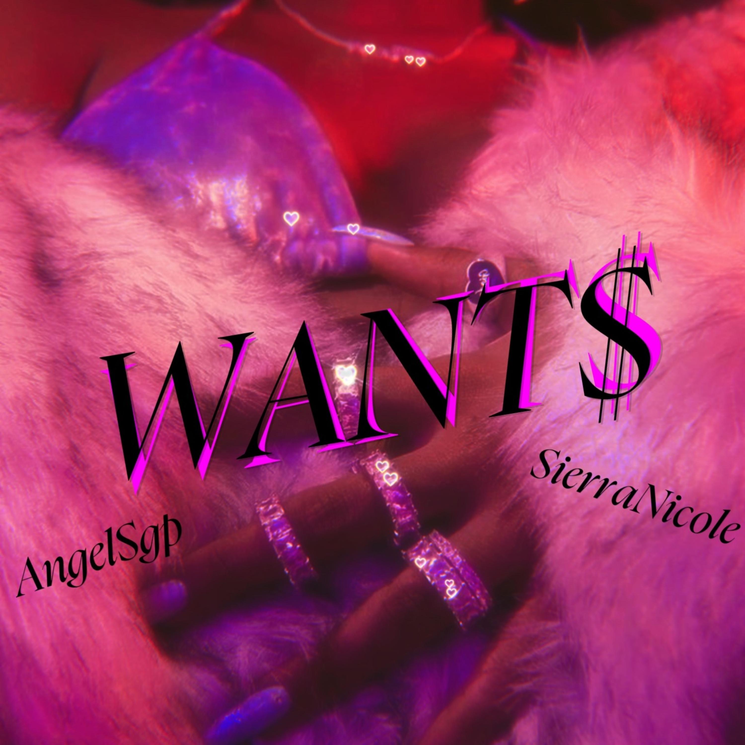 WANT$ artwork