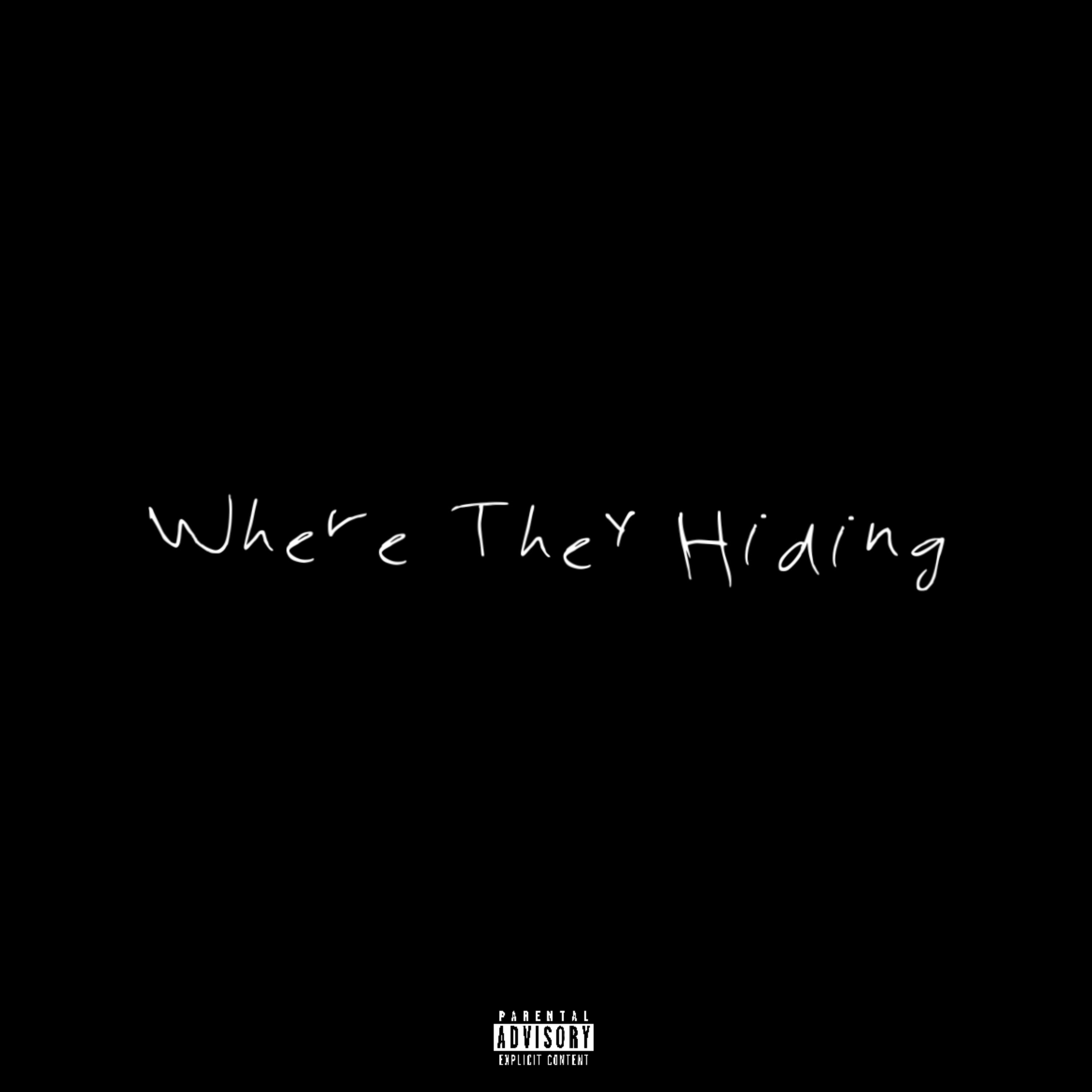 Where They Hiding artwork