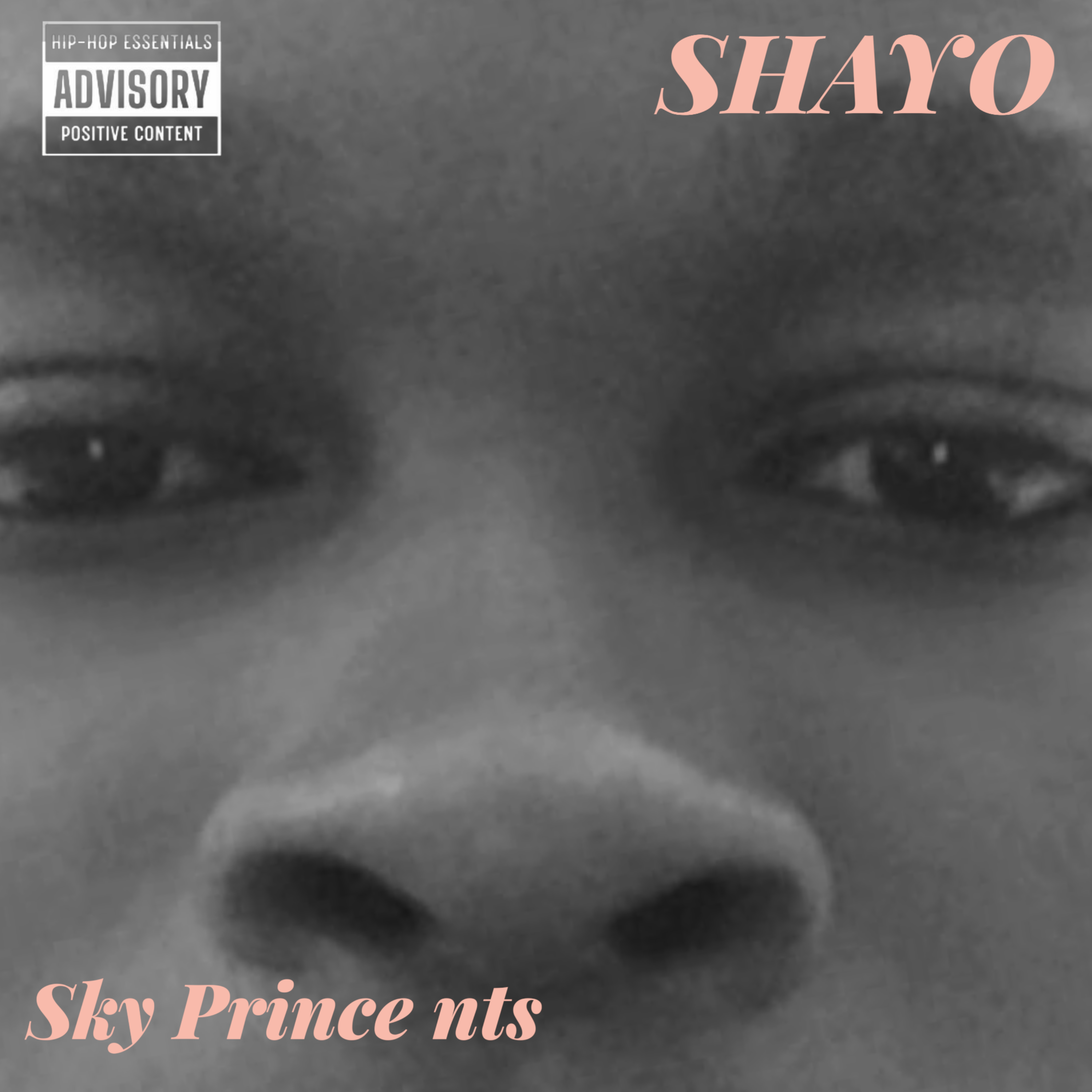 Shayo artwork