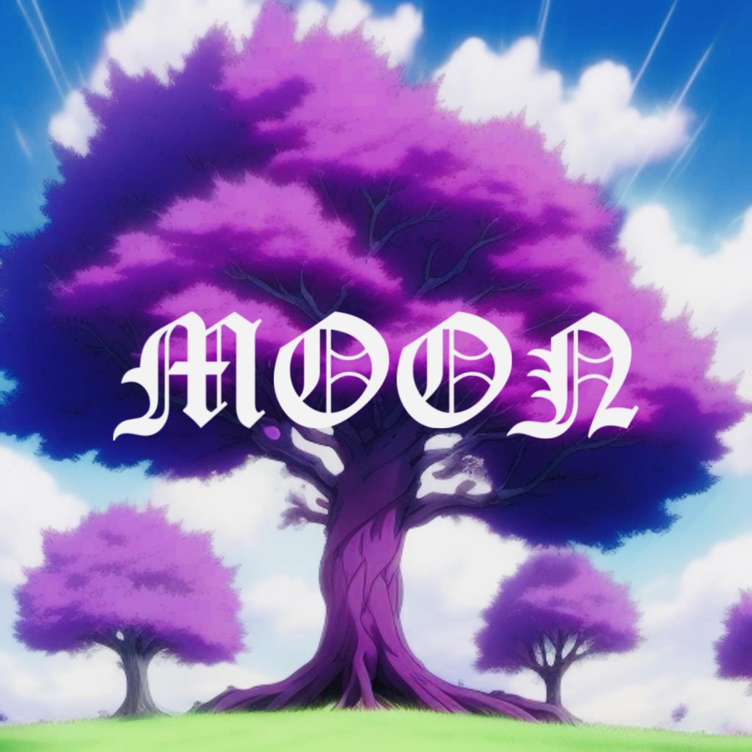 Moon artwork