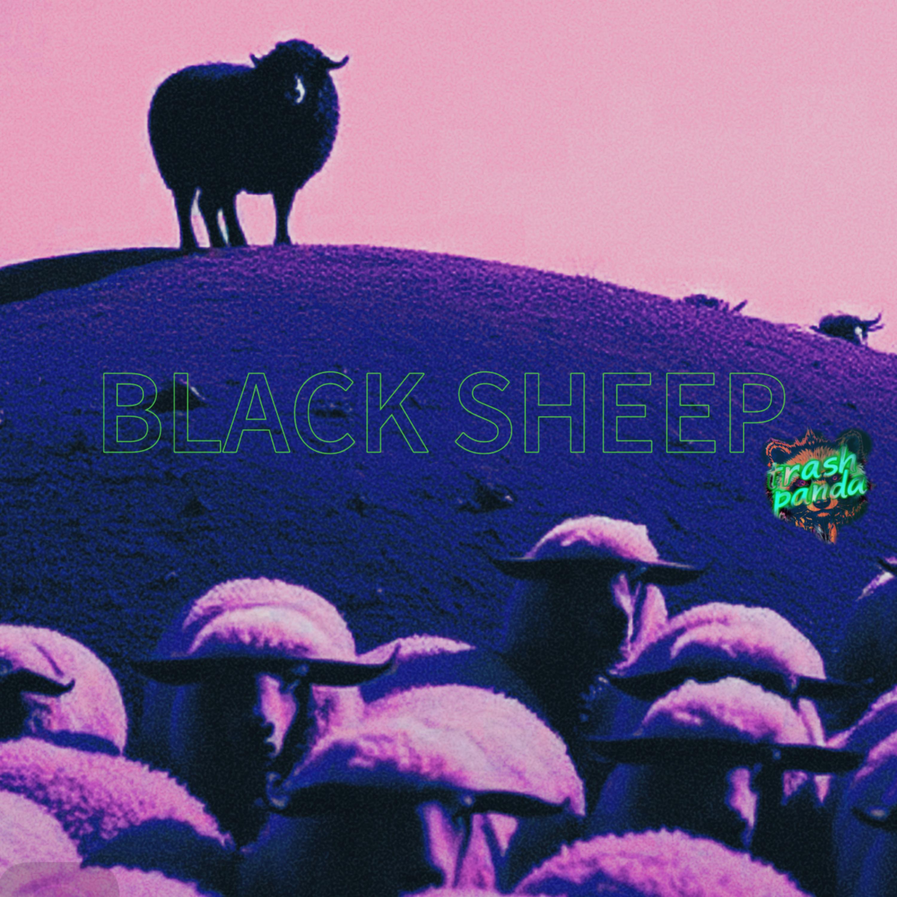 Black Sheep artwork