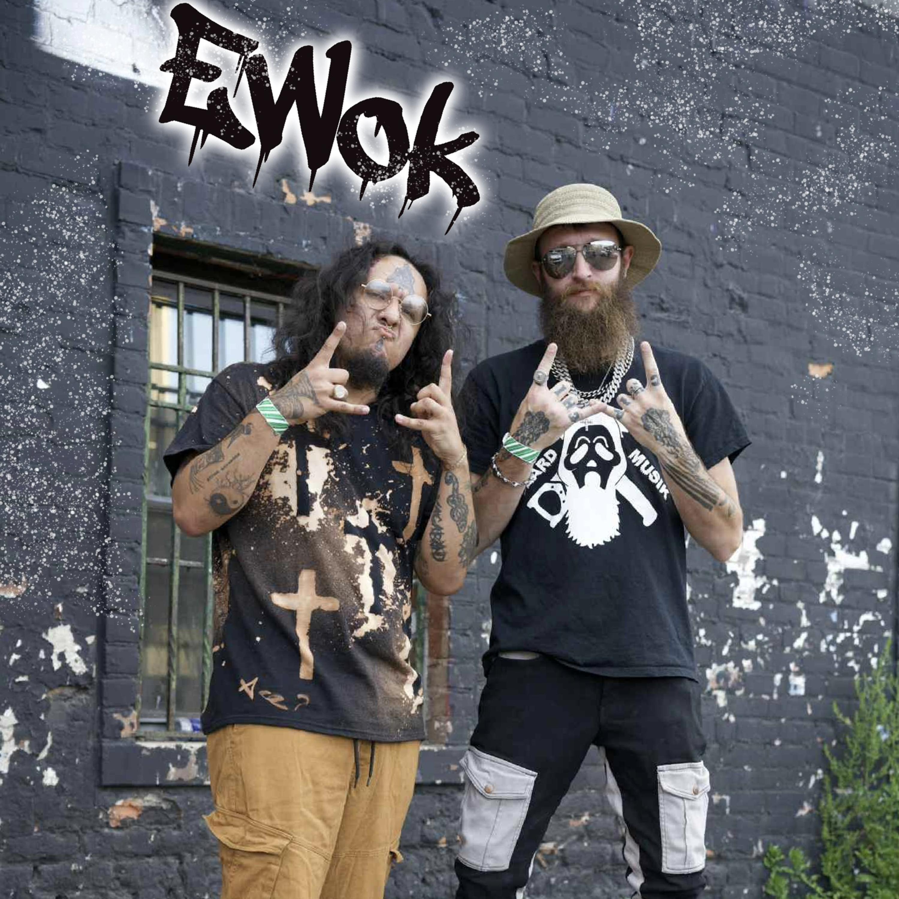 Ewok artwork