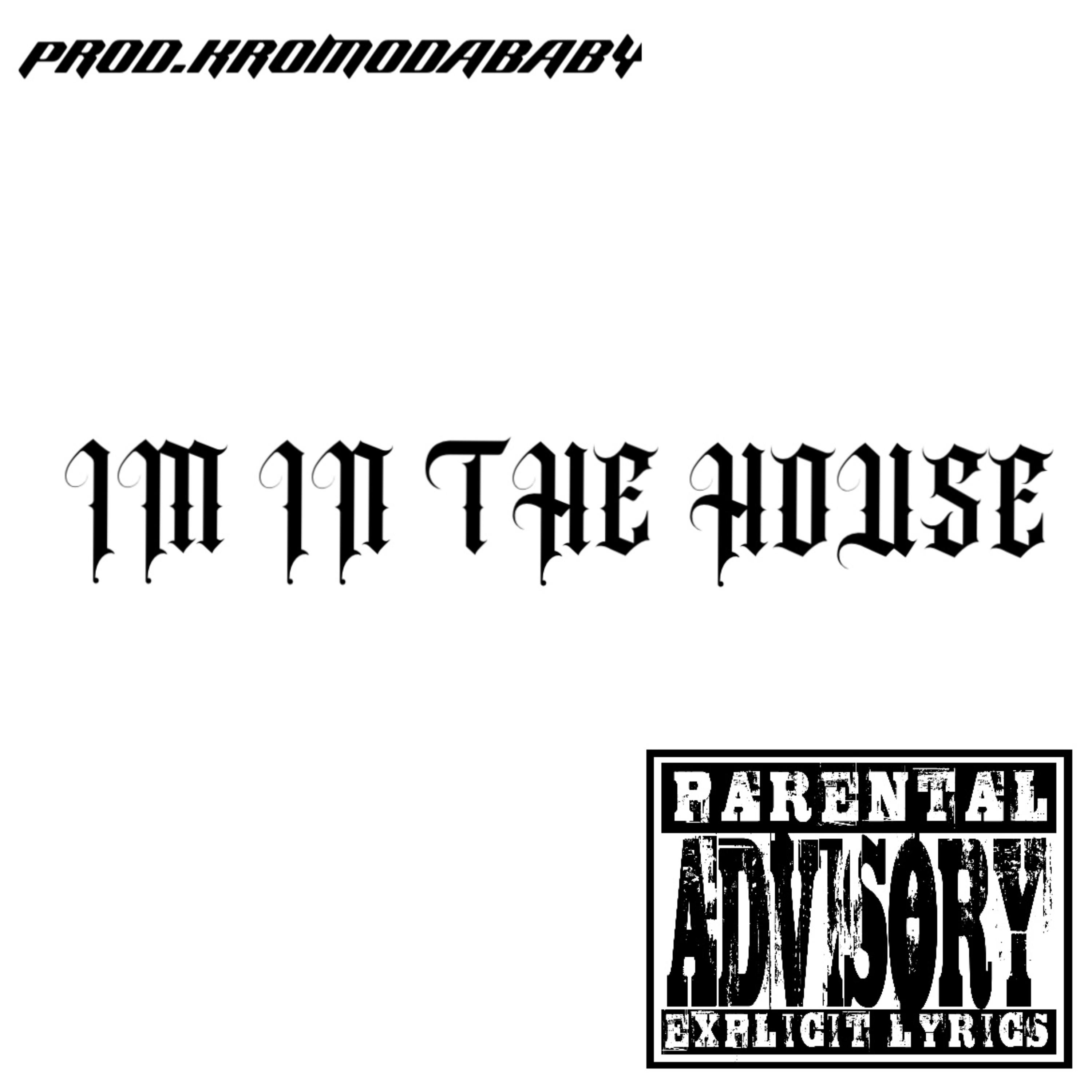 IM IN THE HOUSE artwork
