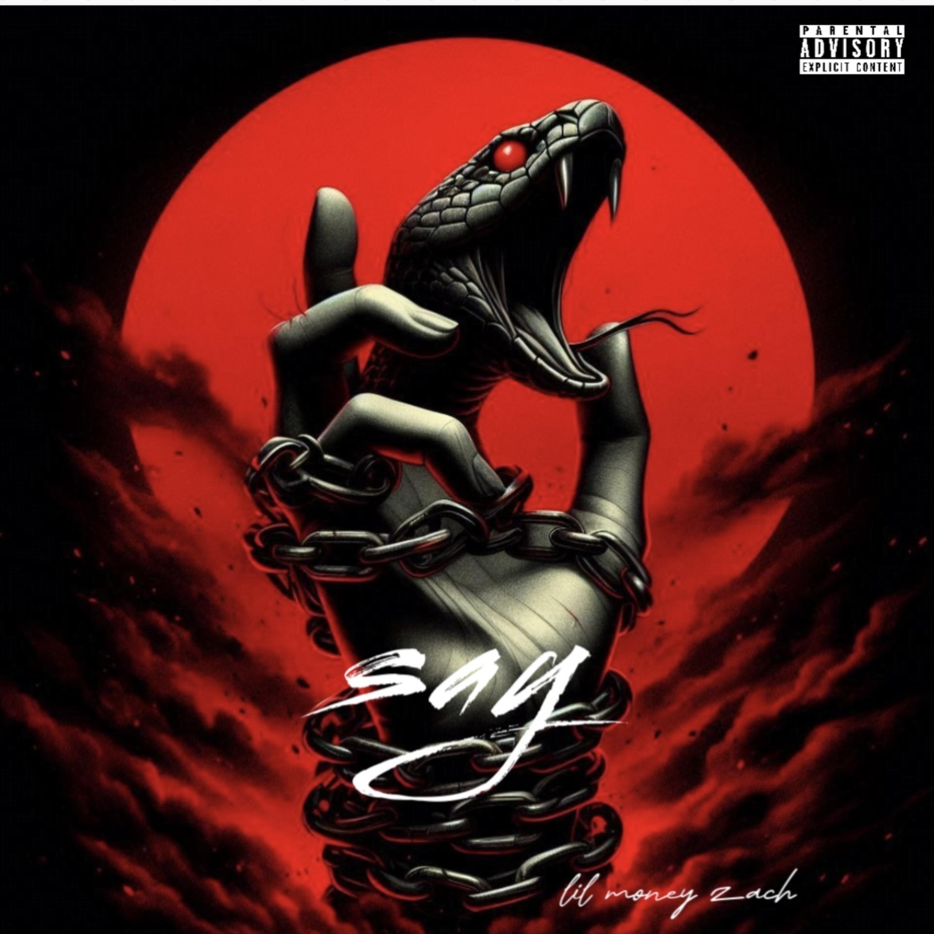 Say artwork