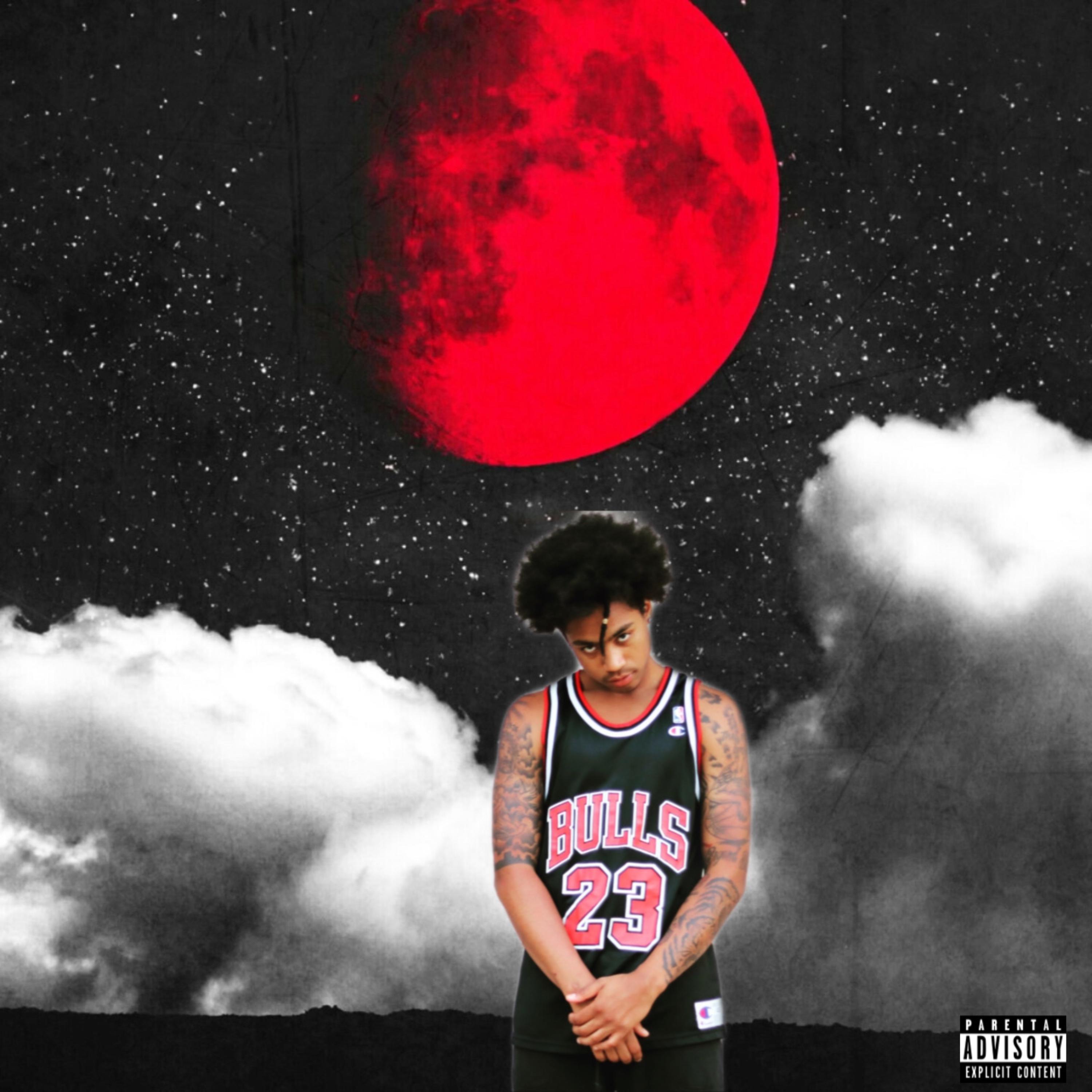 Vicious Nights artwork