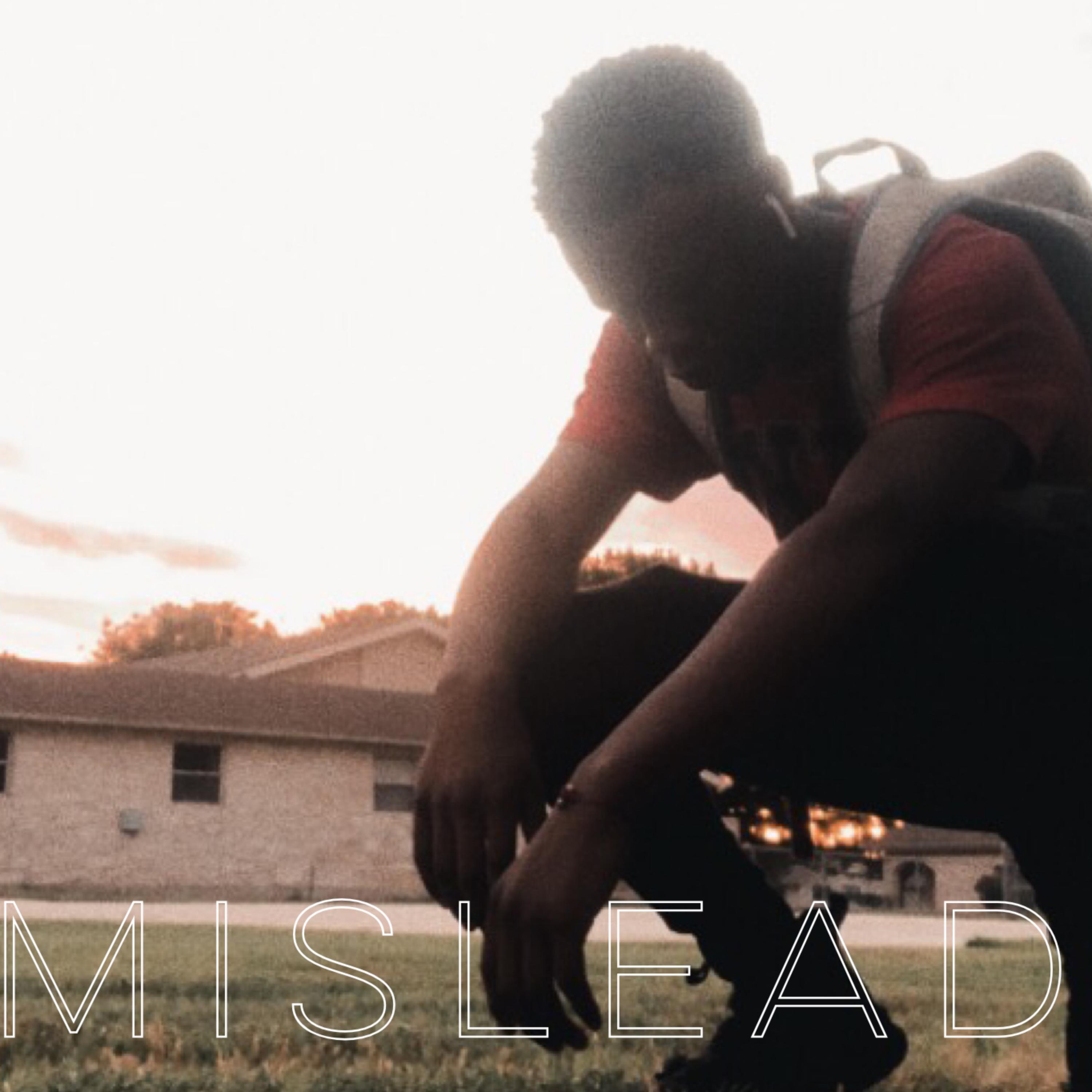 Mislead artwork