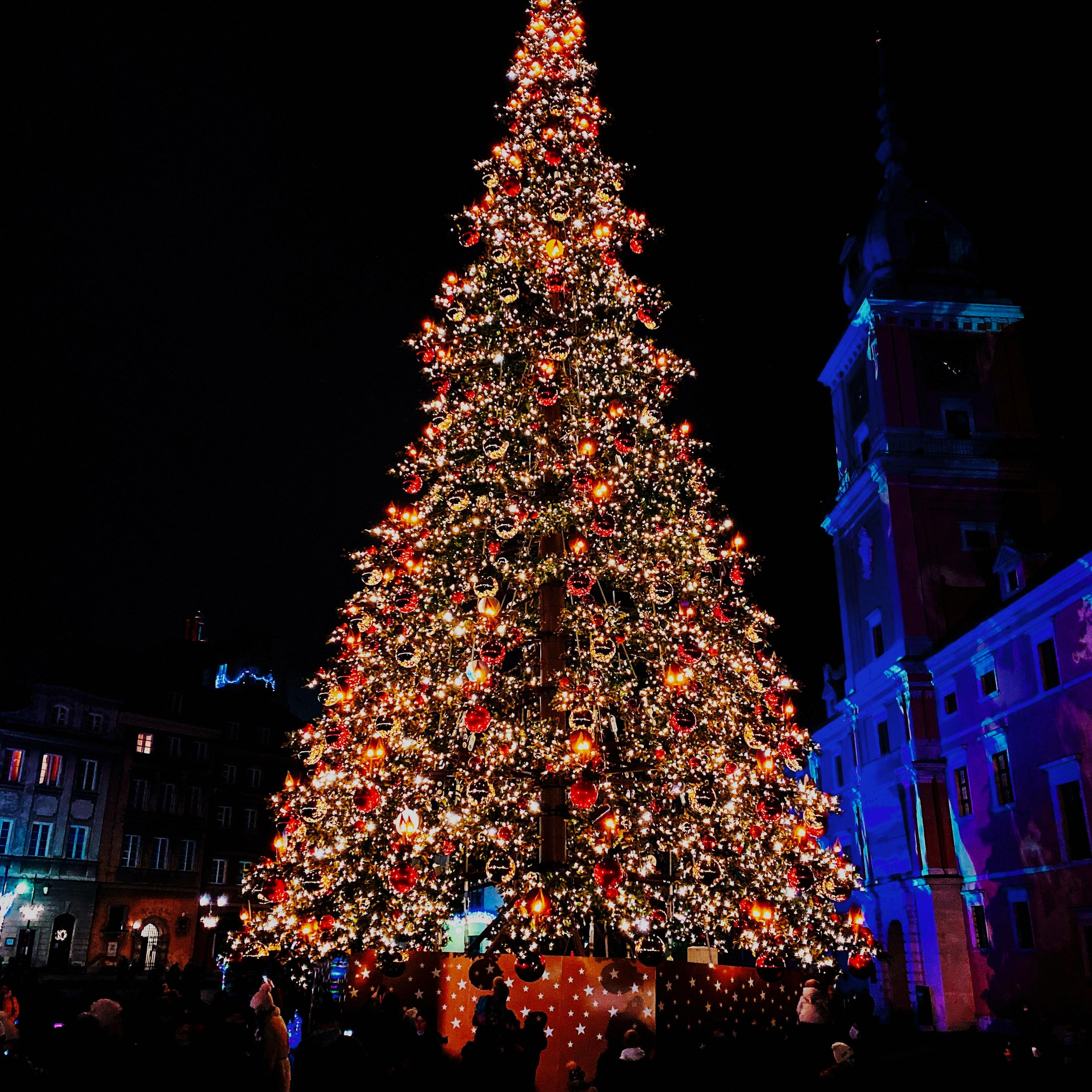 A Present for Your Parents artwork