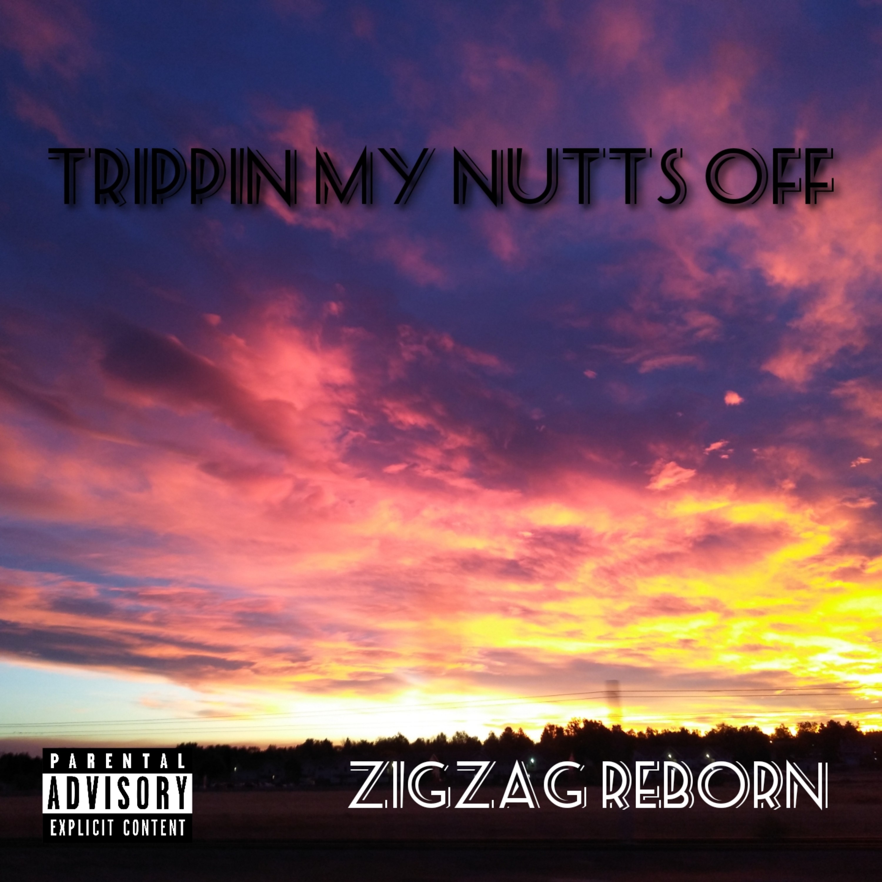 Trippin My Nutts Off artwork