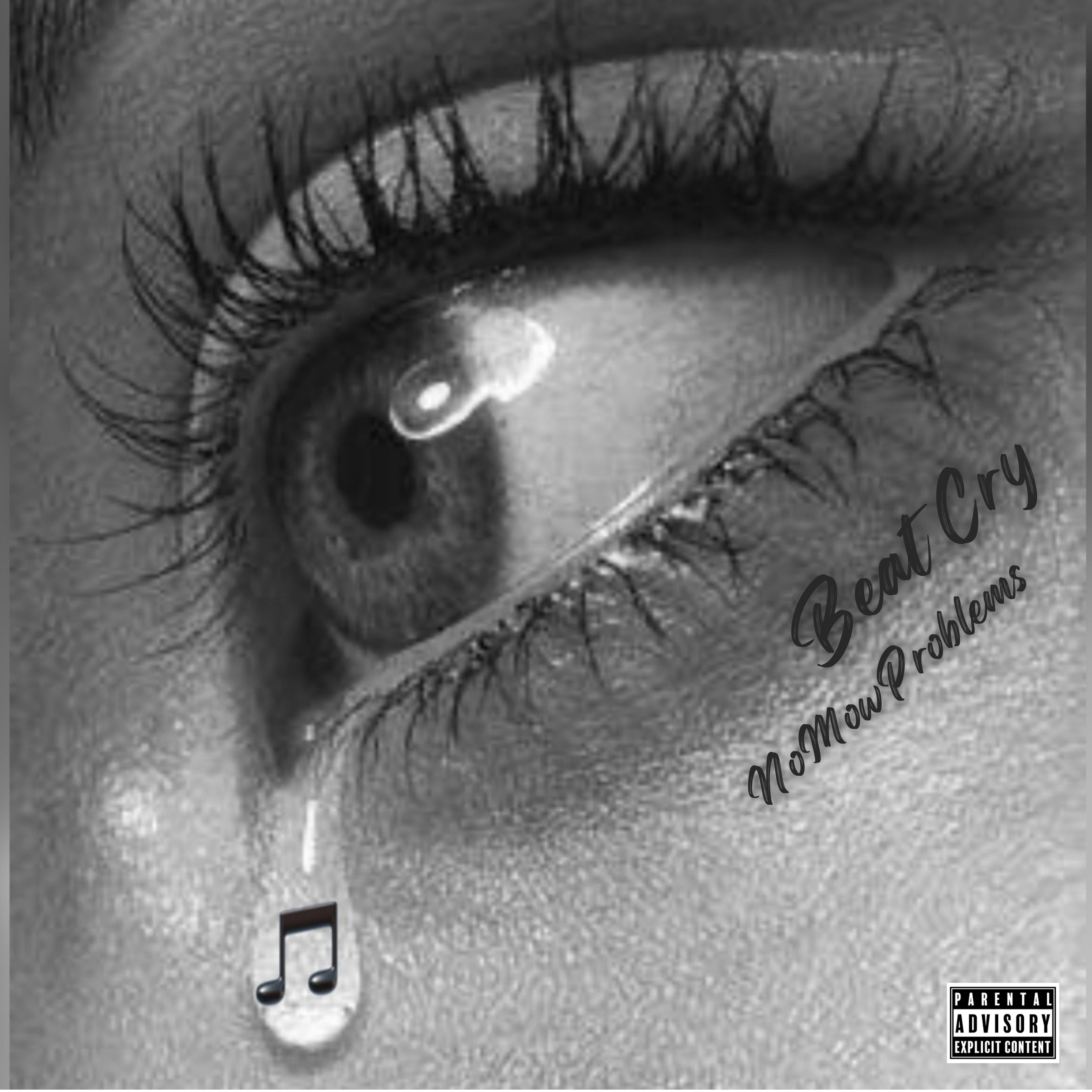 Beat Cry artwork