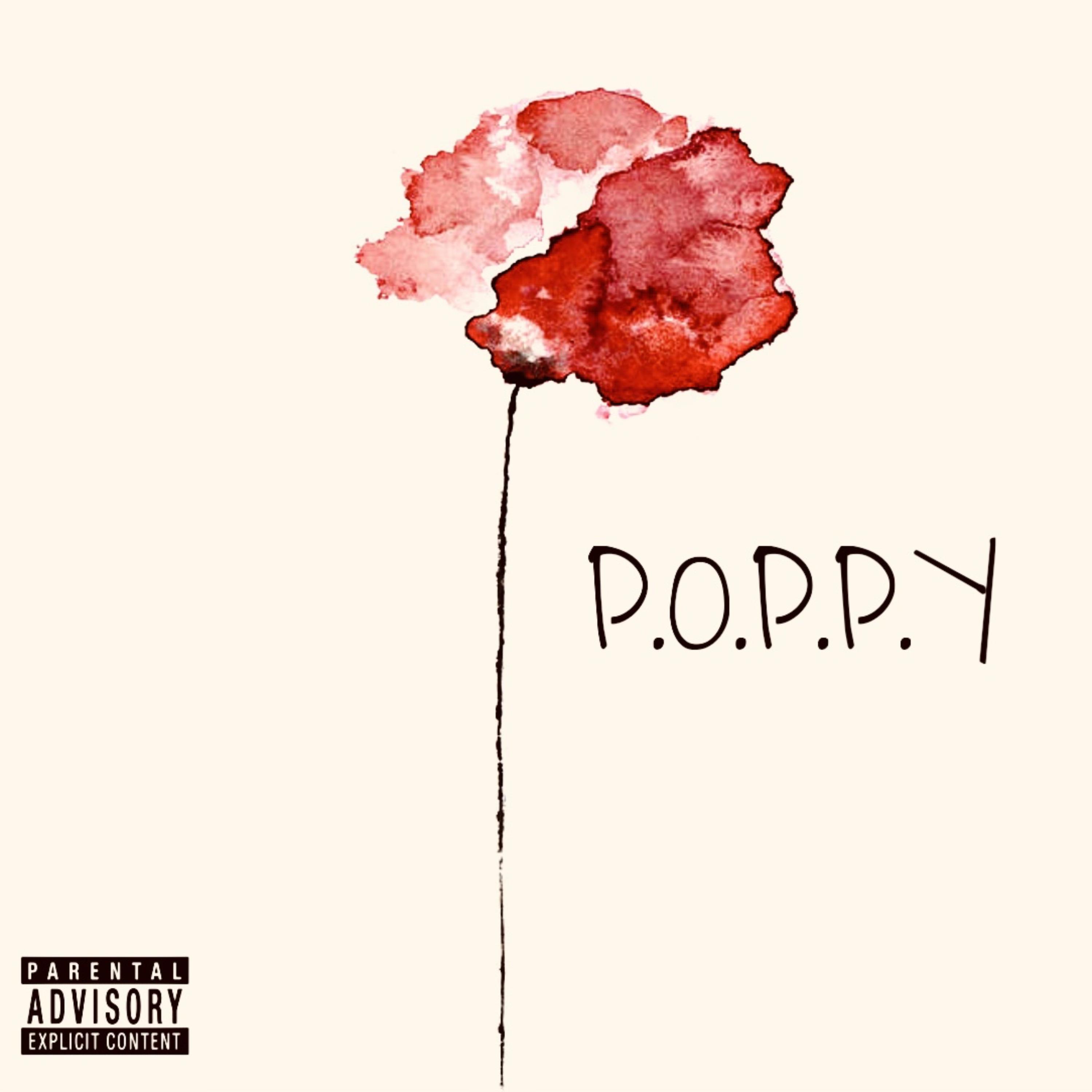 Priority Over Possessions Pride Yourself artwork