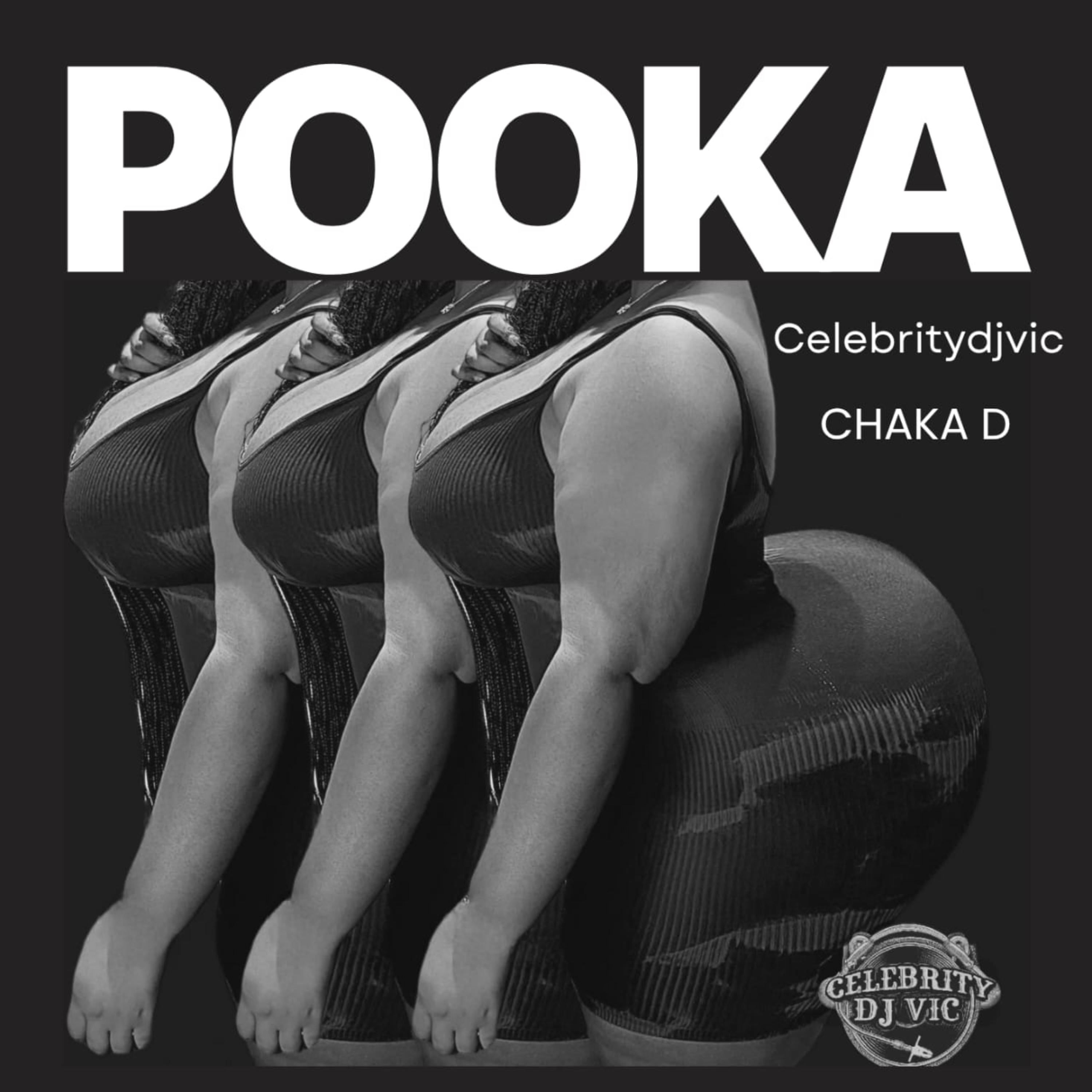 POOKA artwork