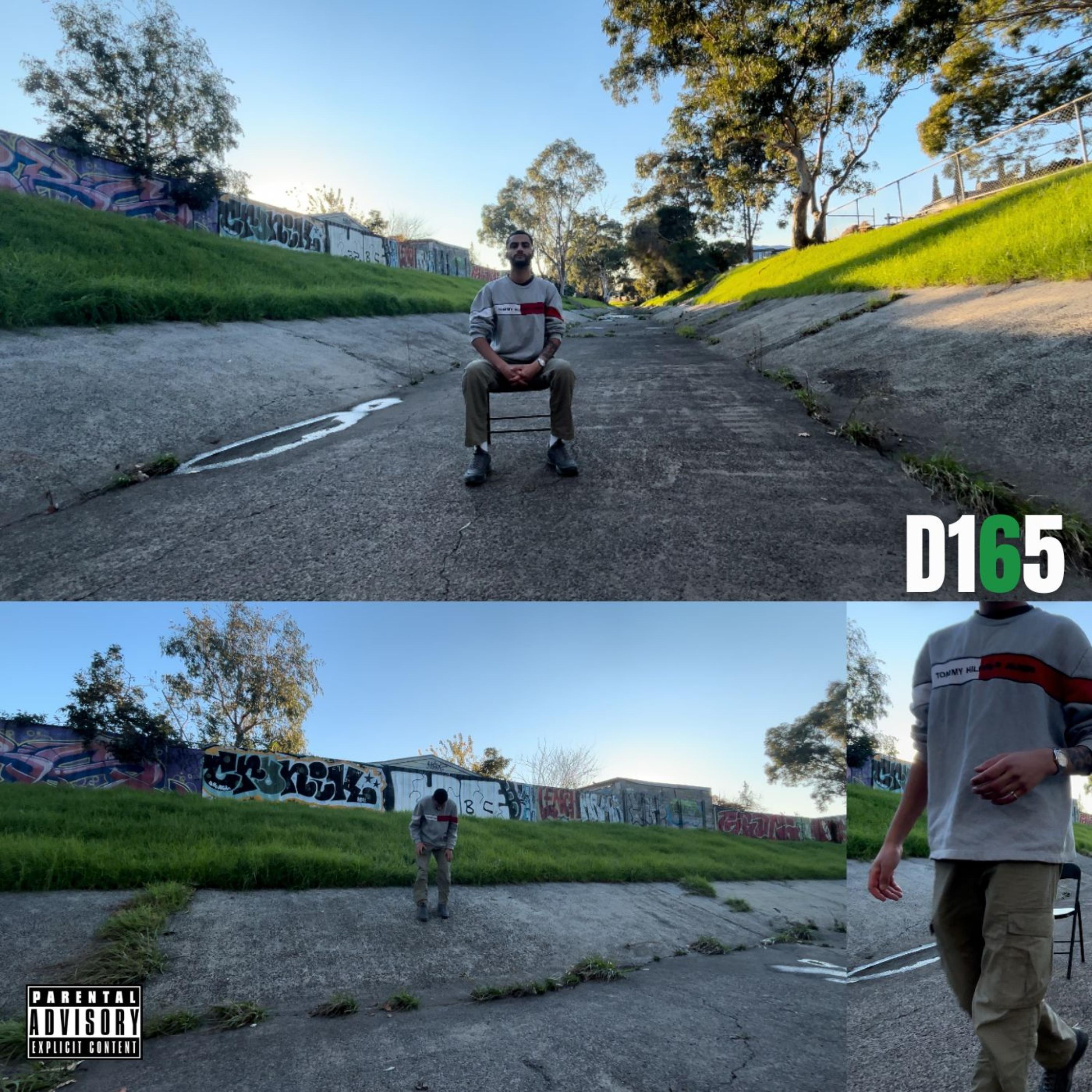 D165 artwork