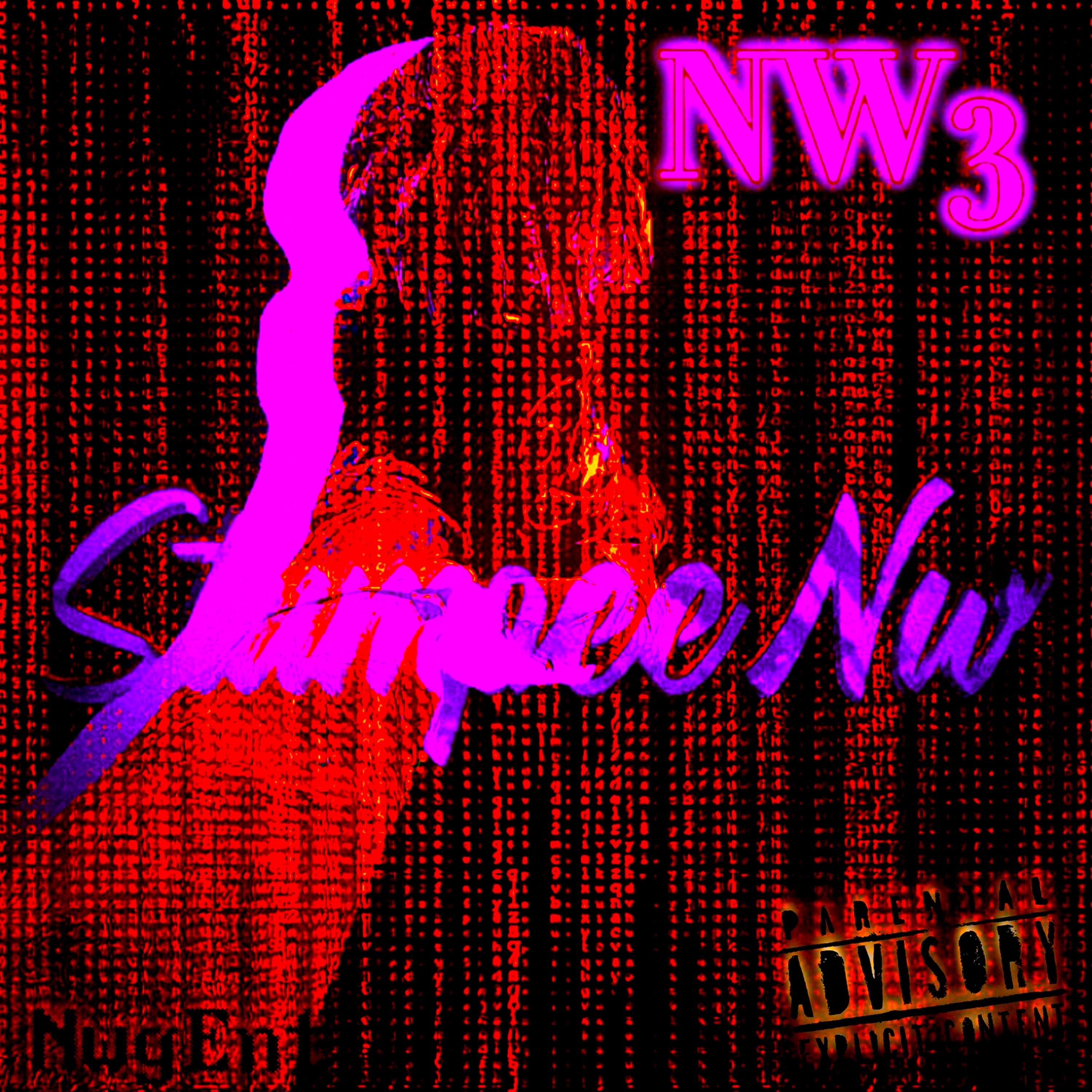 Nw3(Spedup) artwork