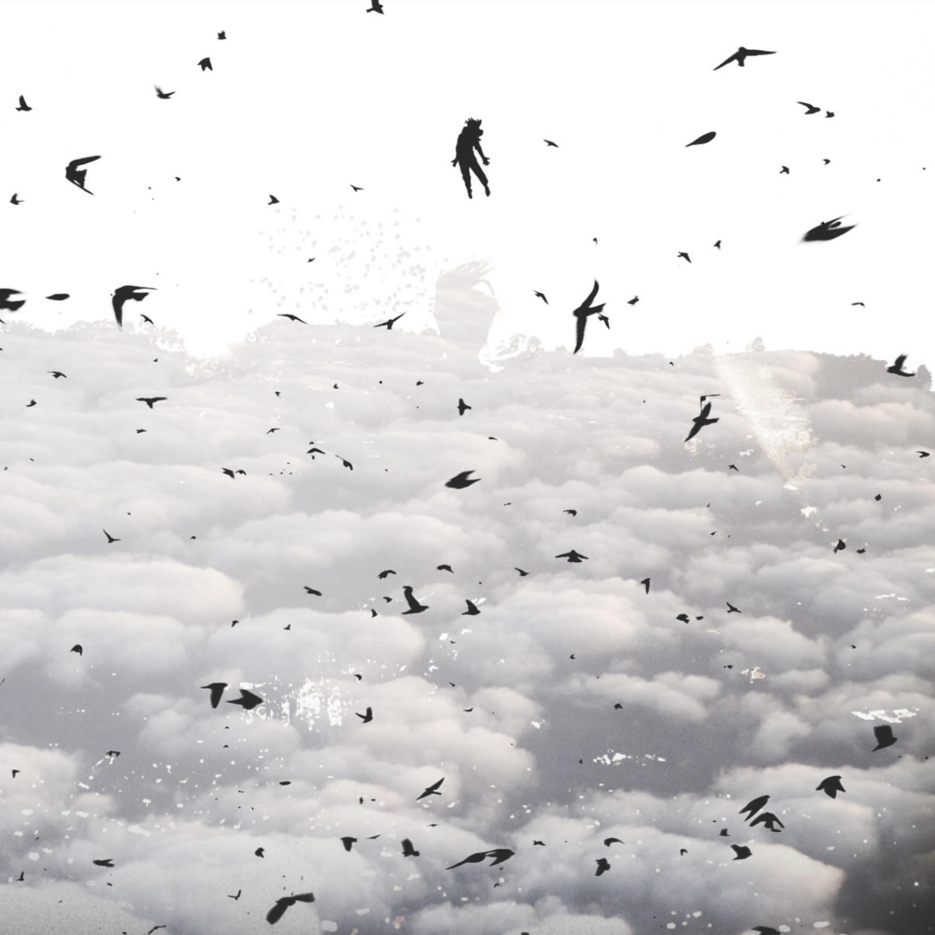 Biggest Bird artwork