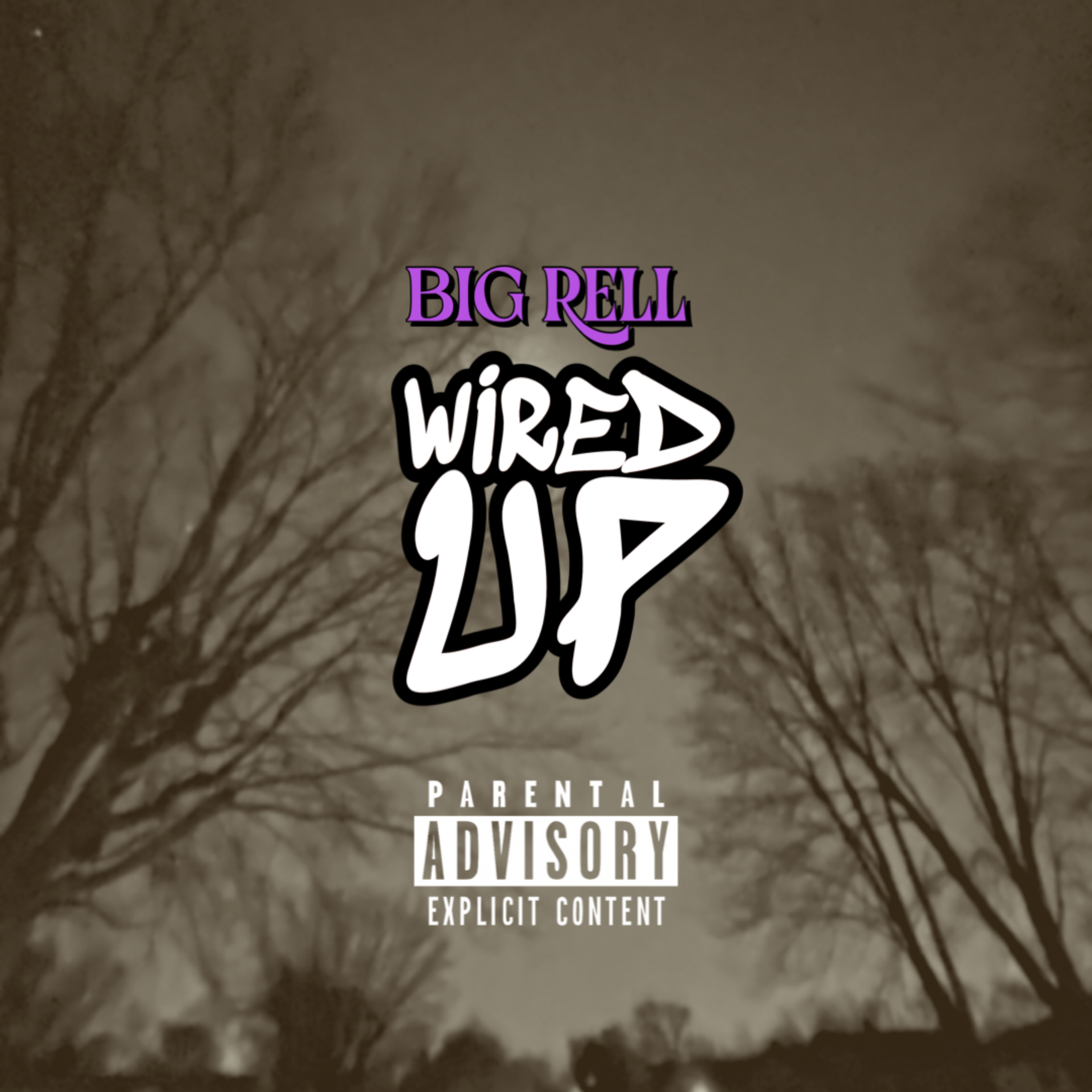 Wired Up artwork