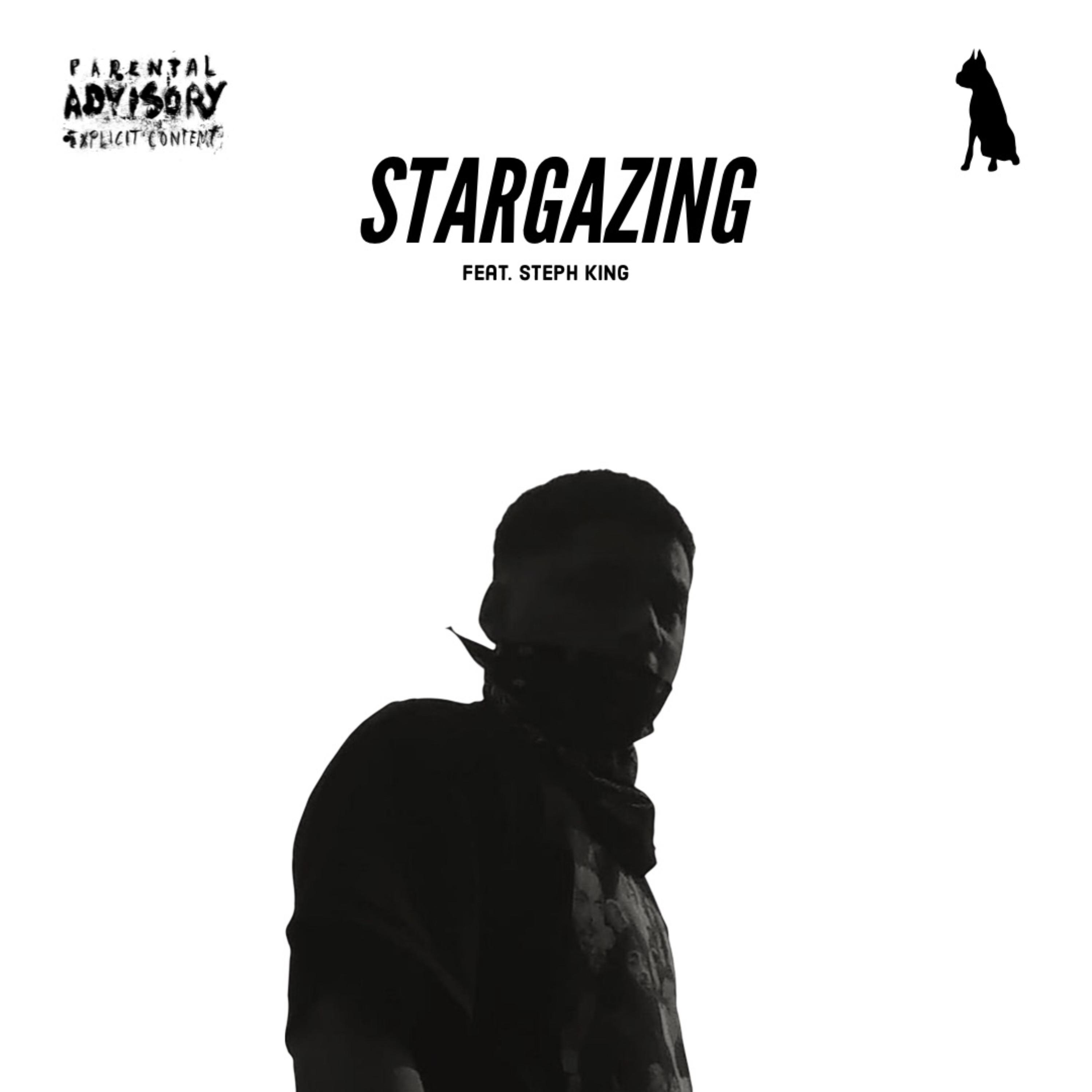STARGAZING artwork