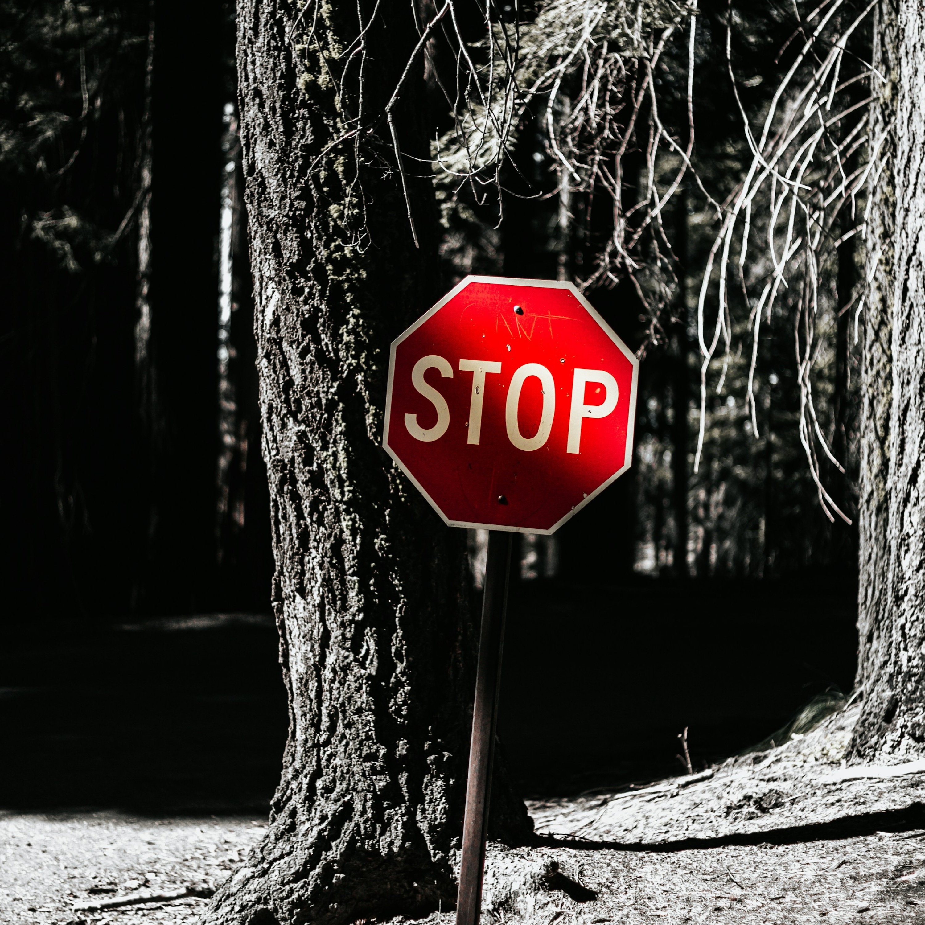 Stop It artwork