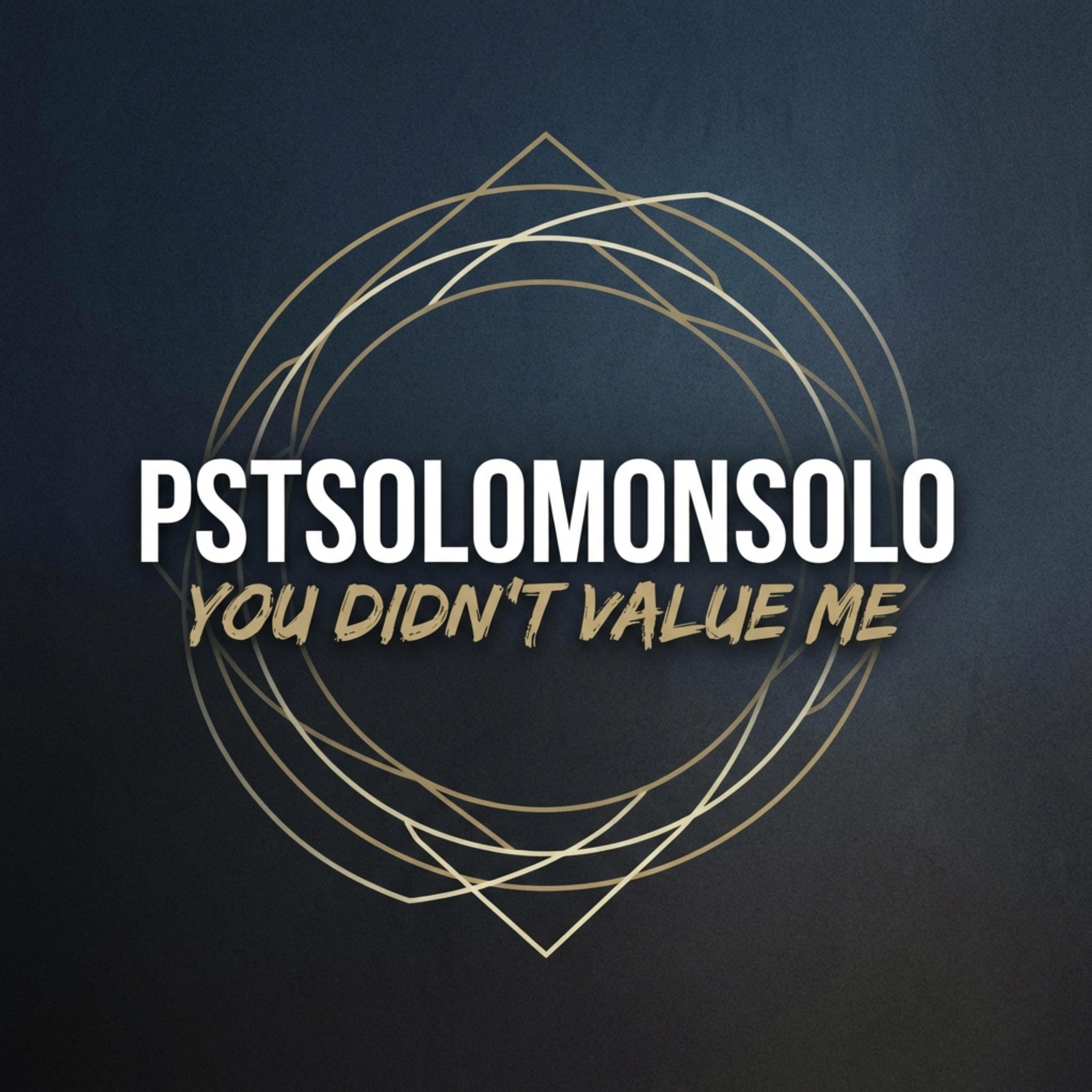 YOU DIDN'T VALUE ME artwork