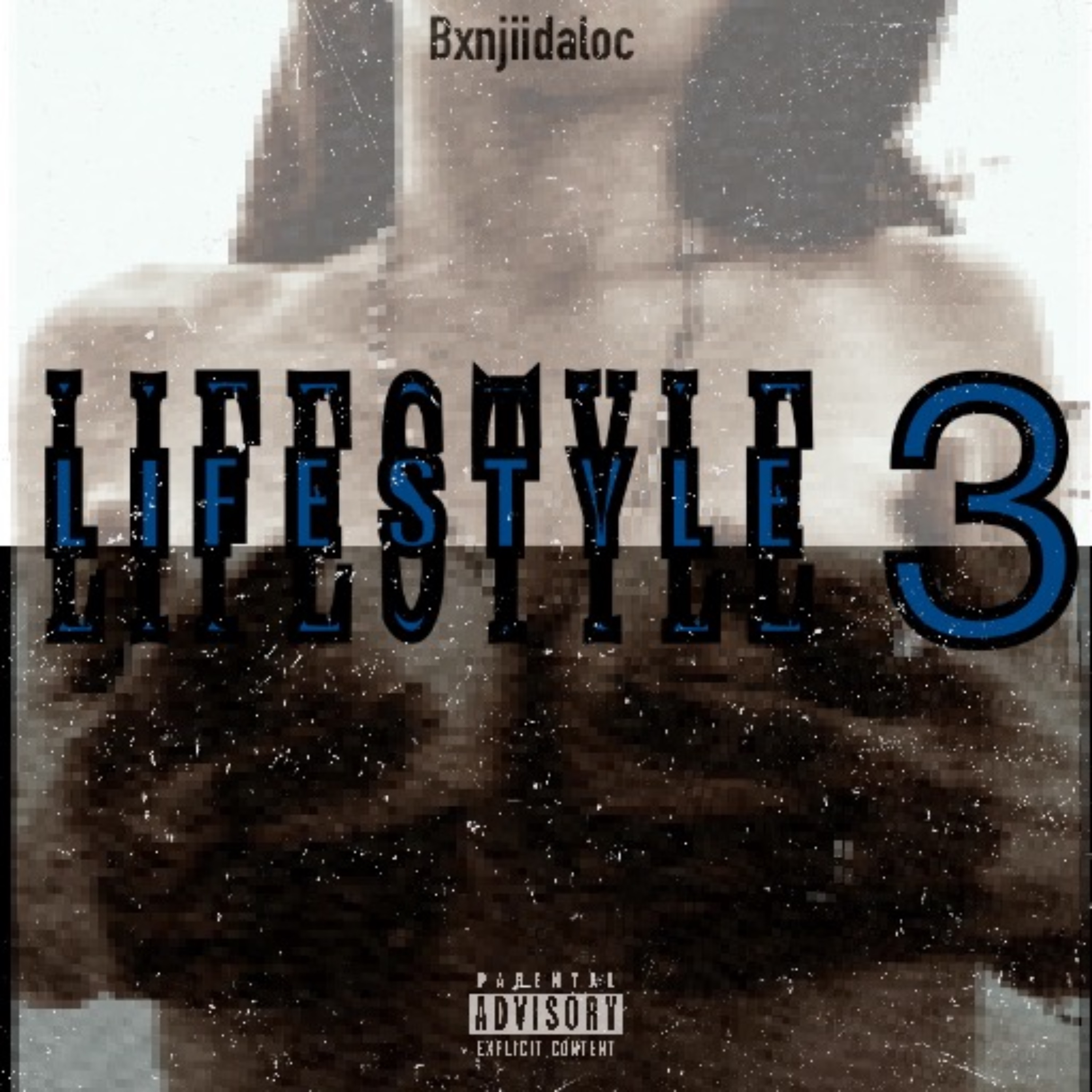 Lifestyle 3 artwork
