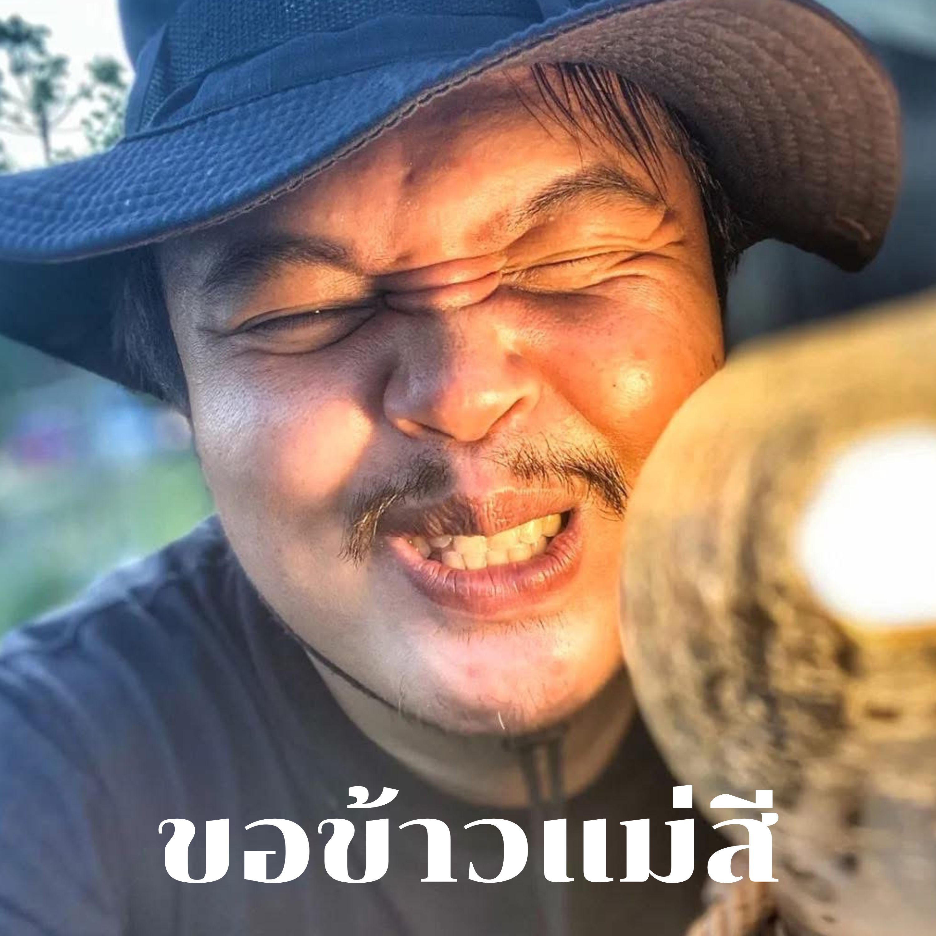 ขอข้าวแม่สี artwork