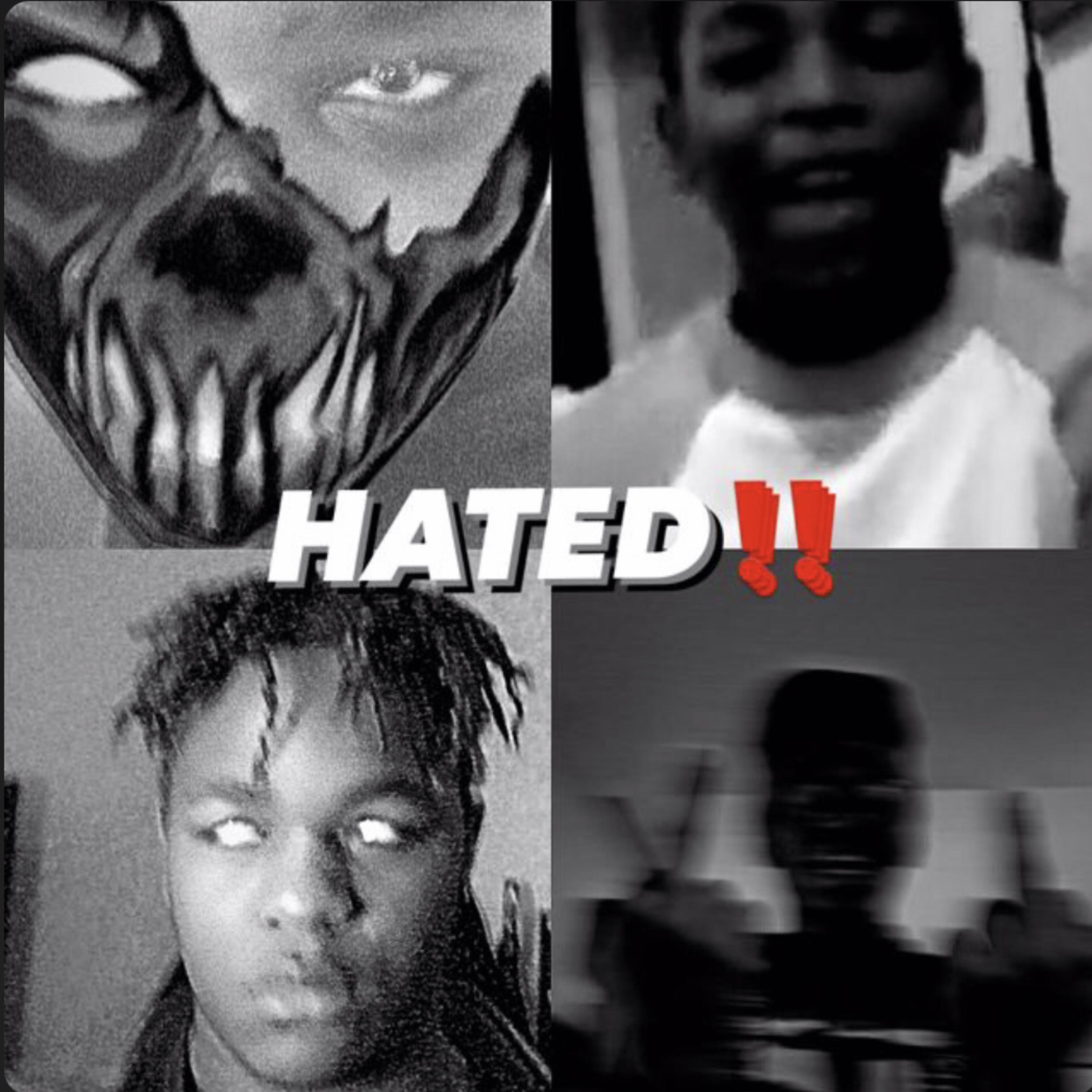 HATED artwork