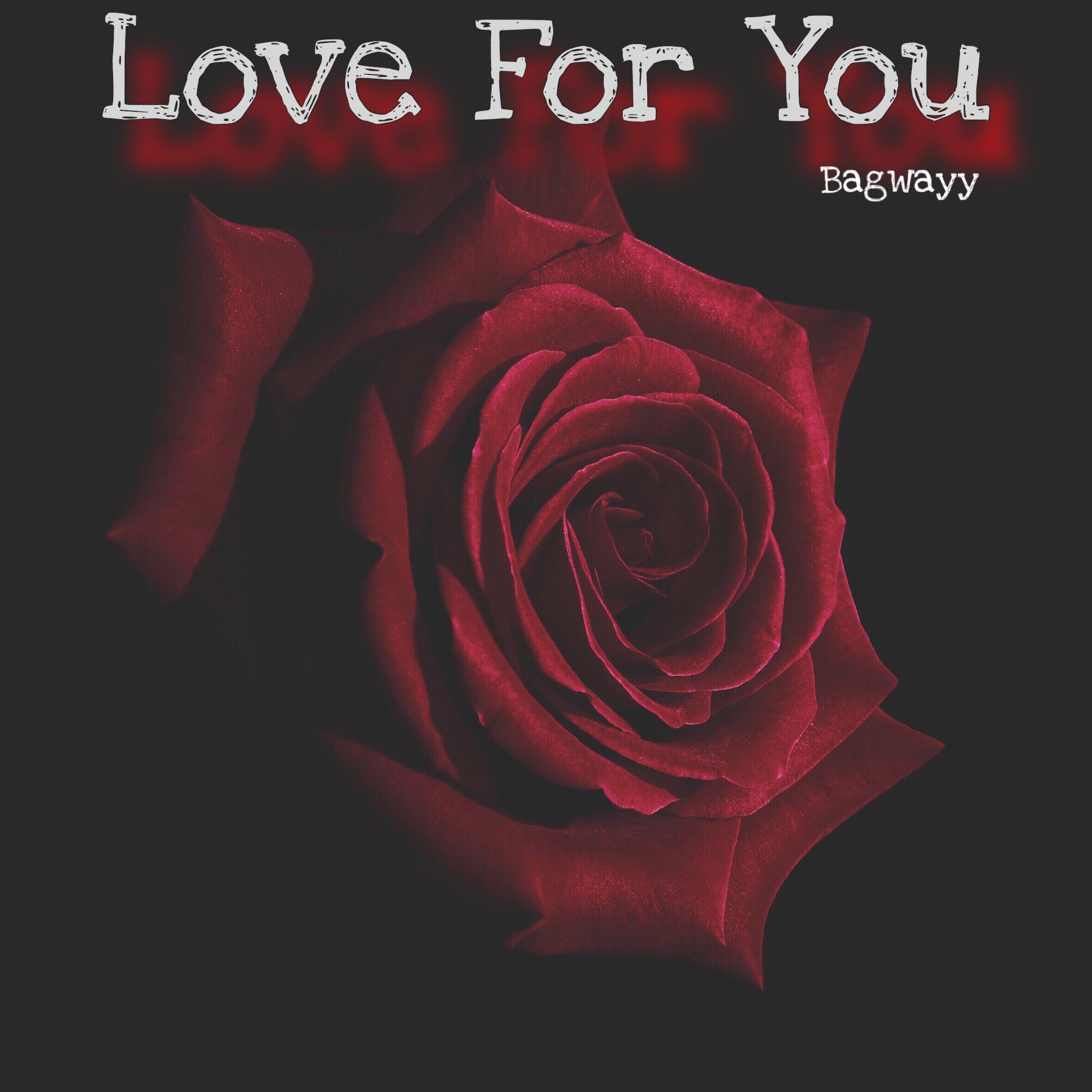 Love For You artwork