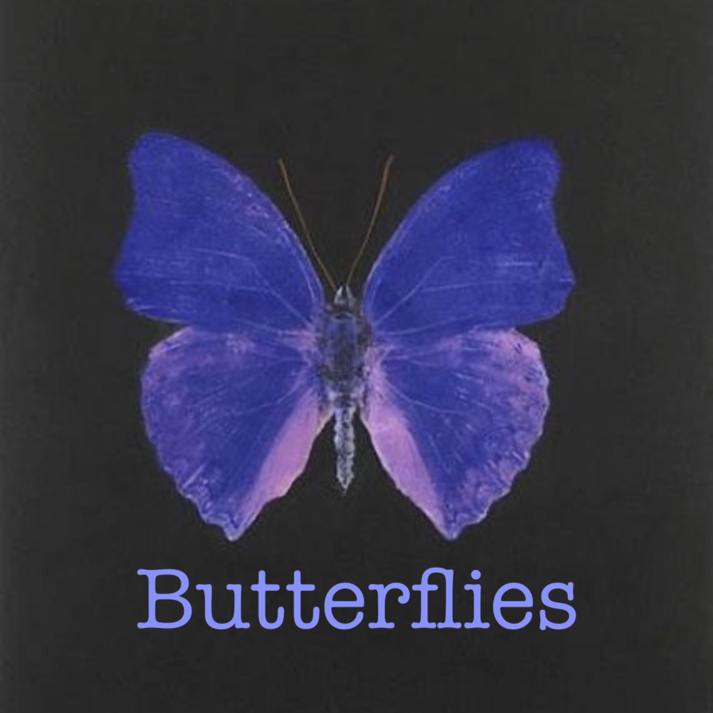 Butterflies artwork