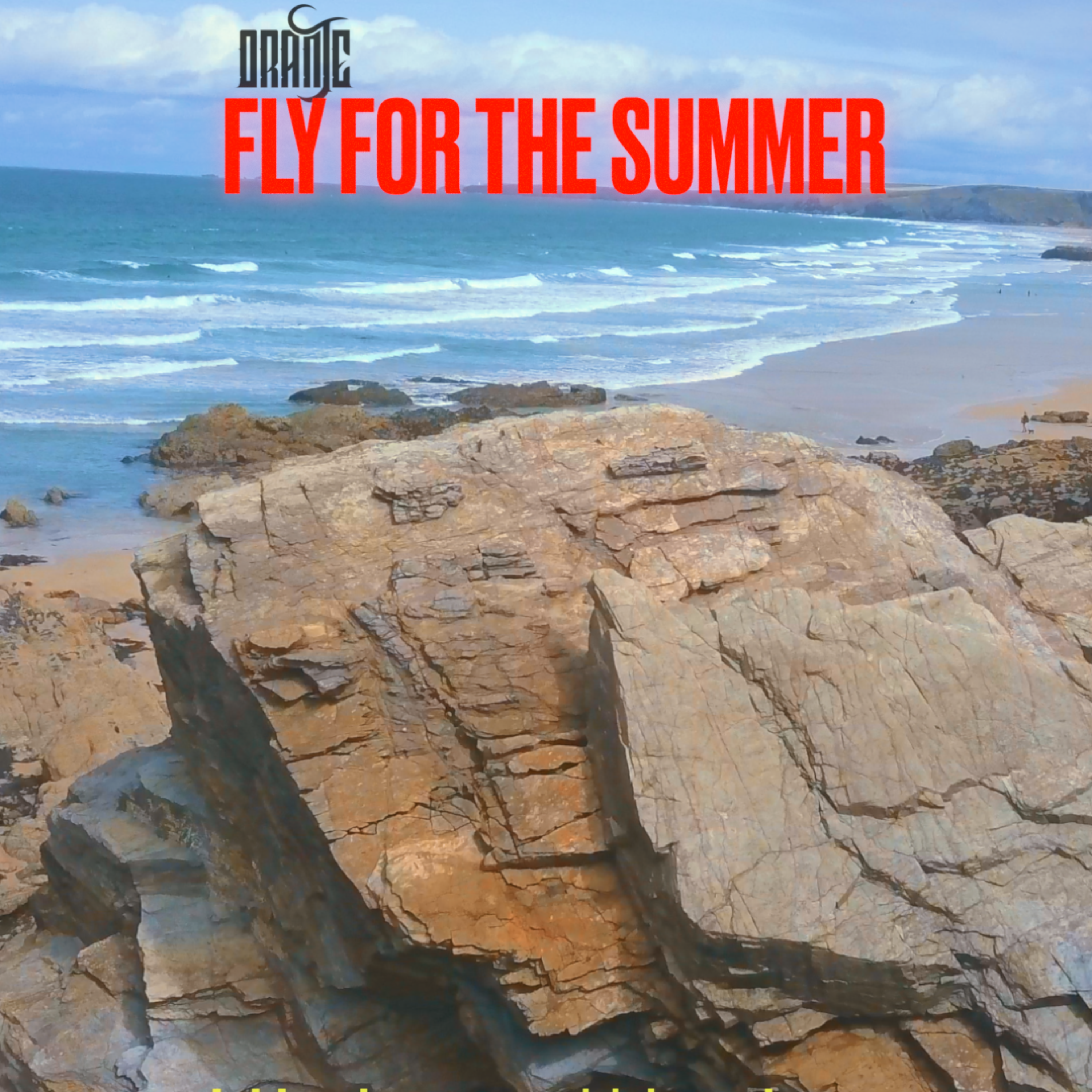 Fly for the summer artwork