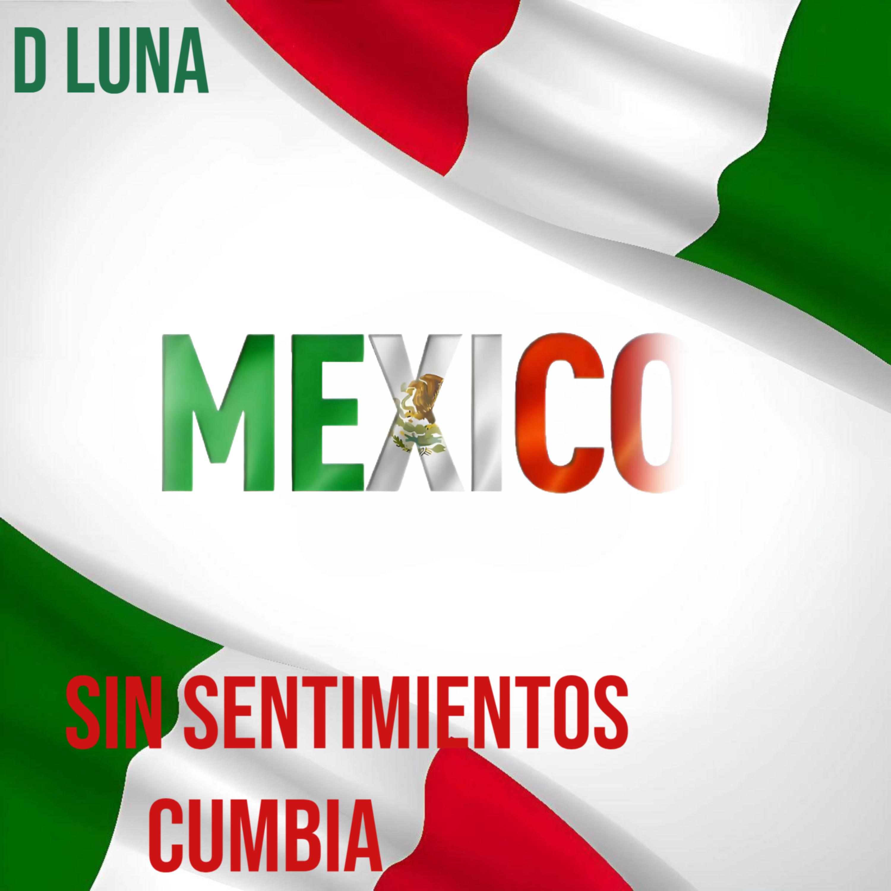 Sin Sentimientos artwork