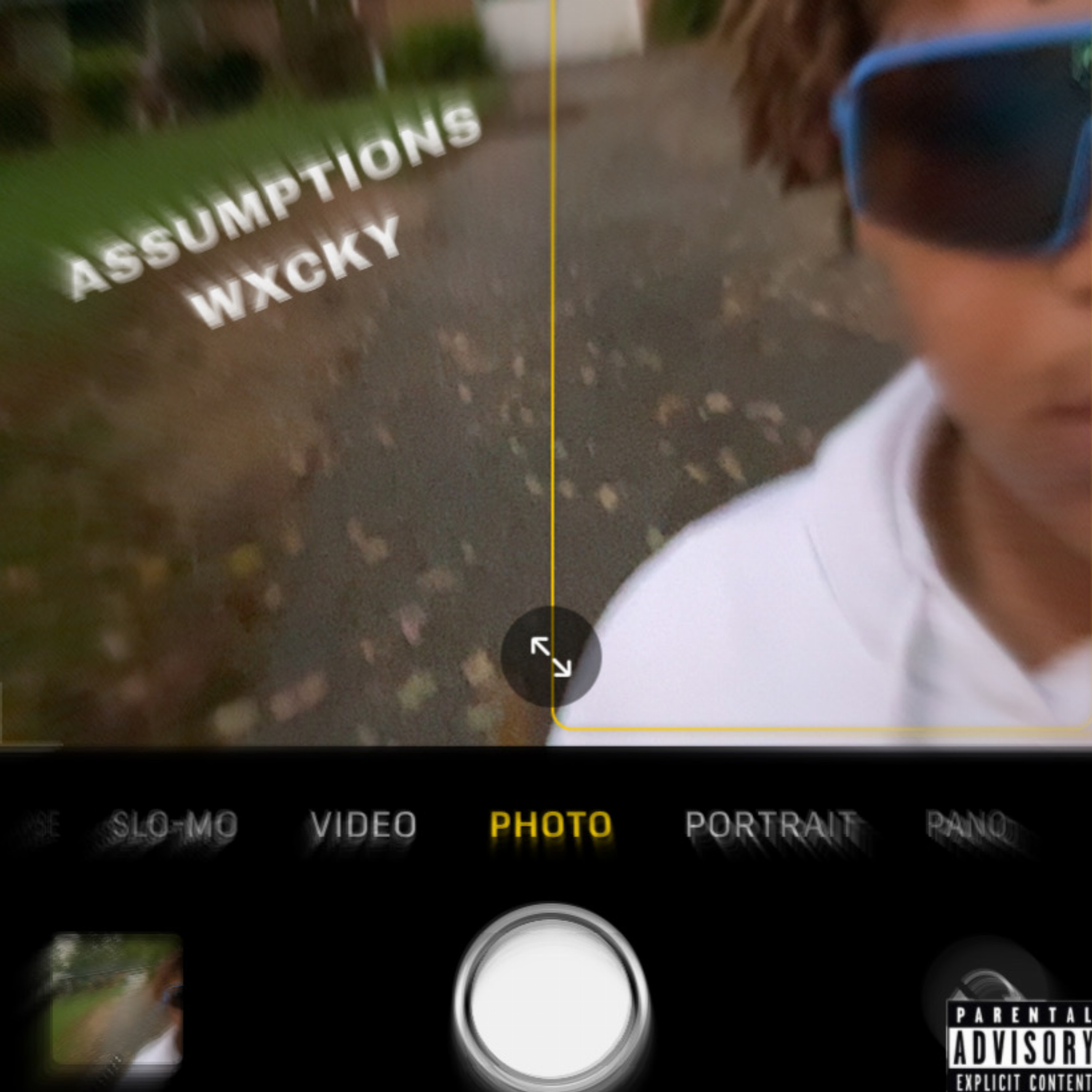 ASSUMPTIONS artwork