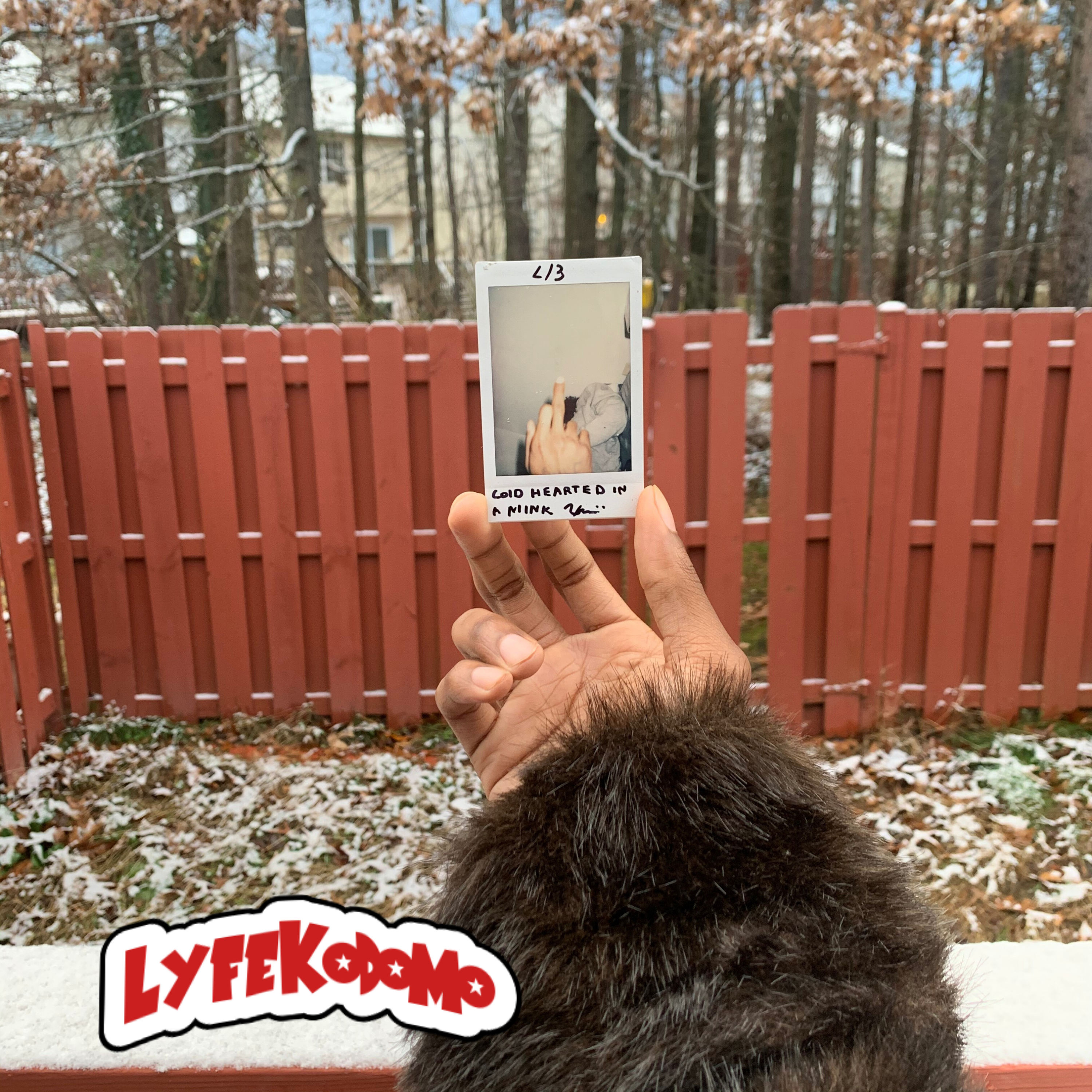 Cold Hearted In A Mink artwork