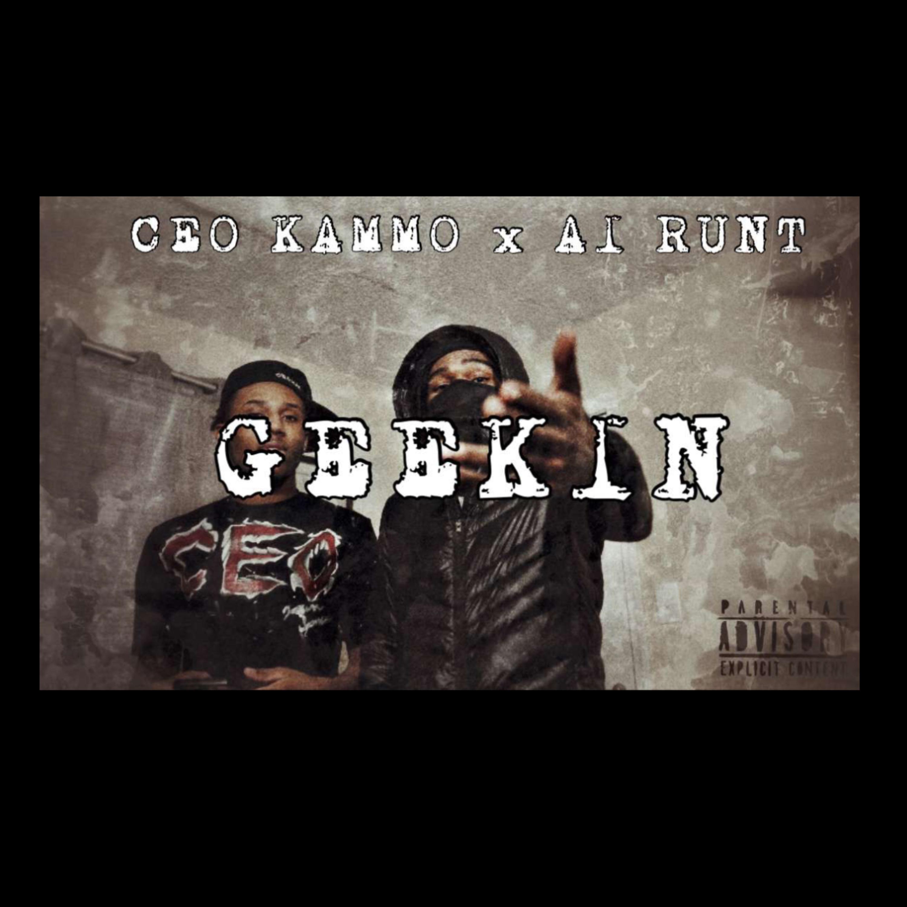 Geekin artwork