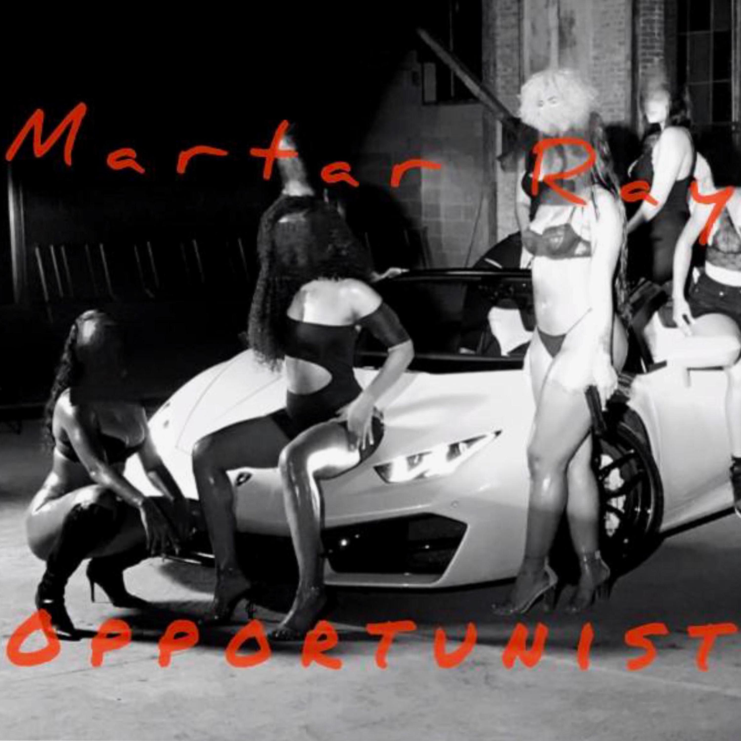 Opportunists artwork