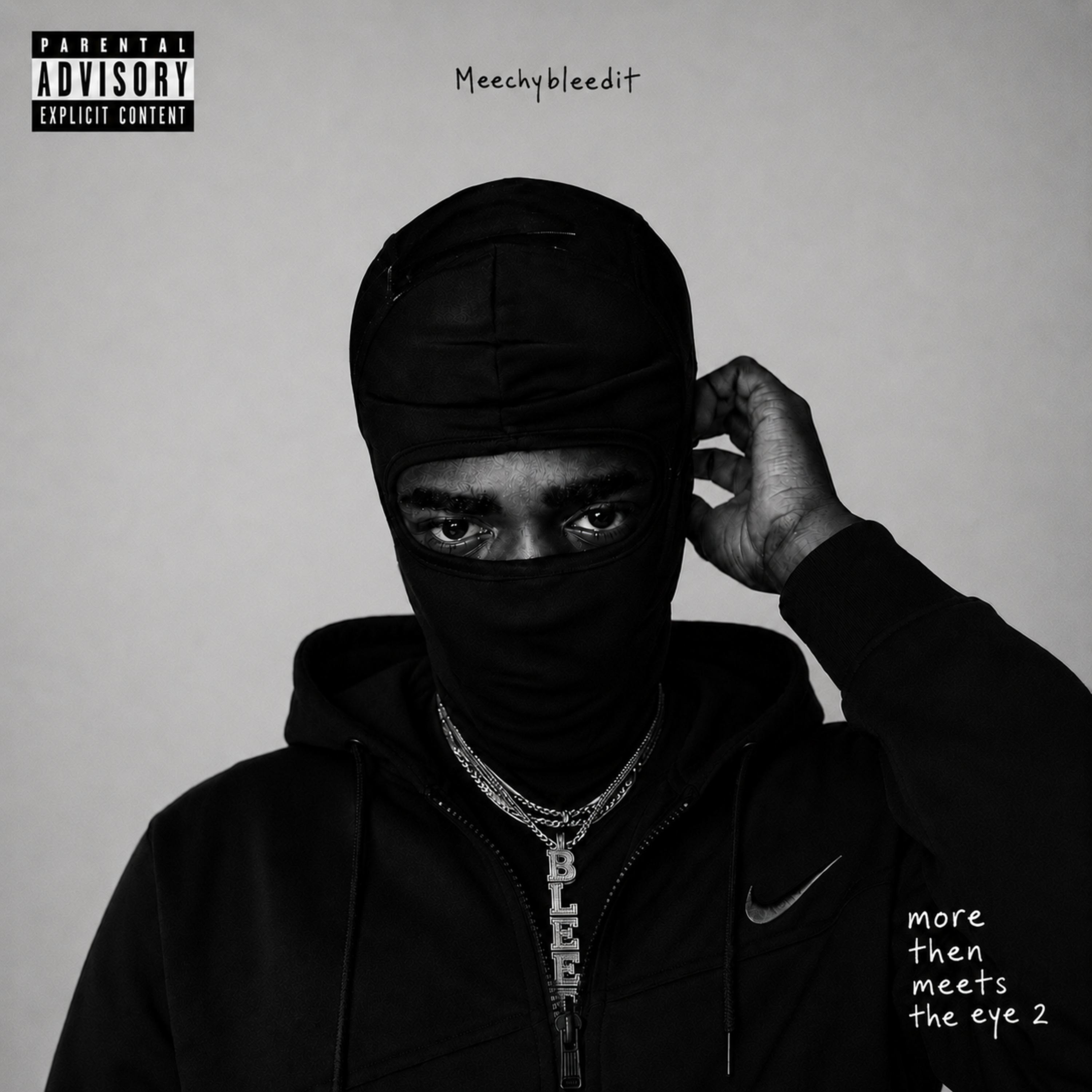 More Then Meets The Eye 2 by Meechybleedit cover art