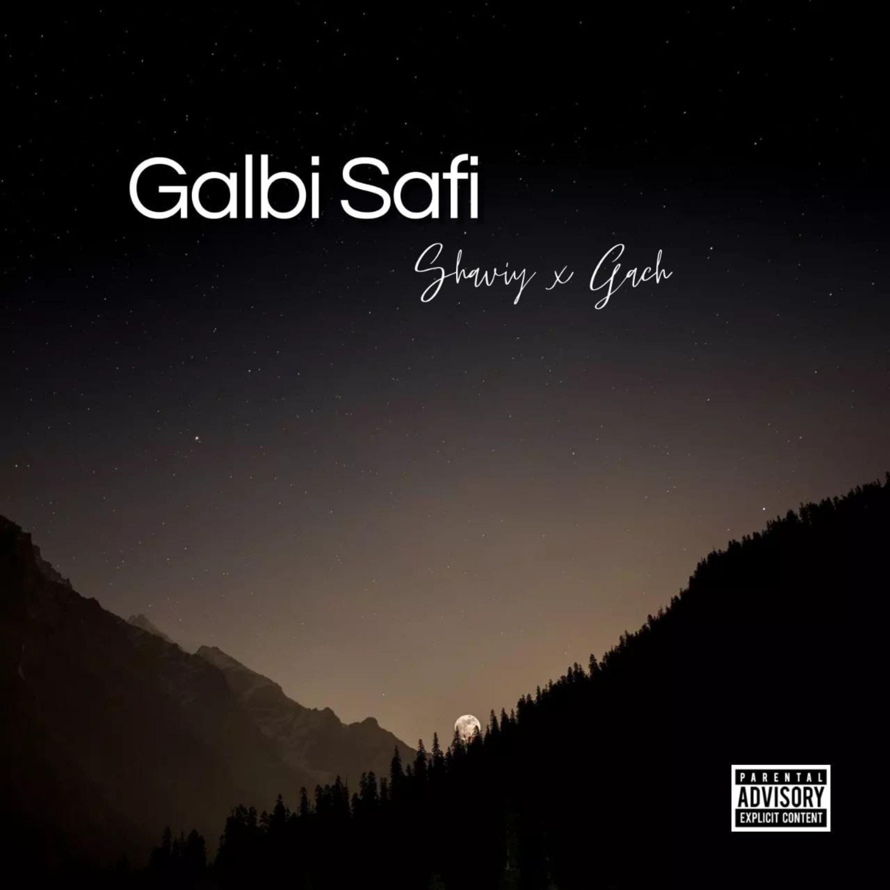 Galbi Safi artwork