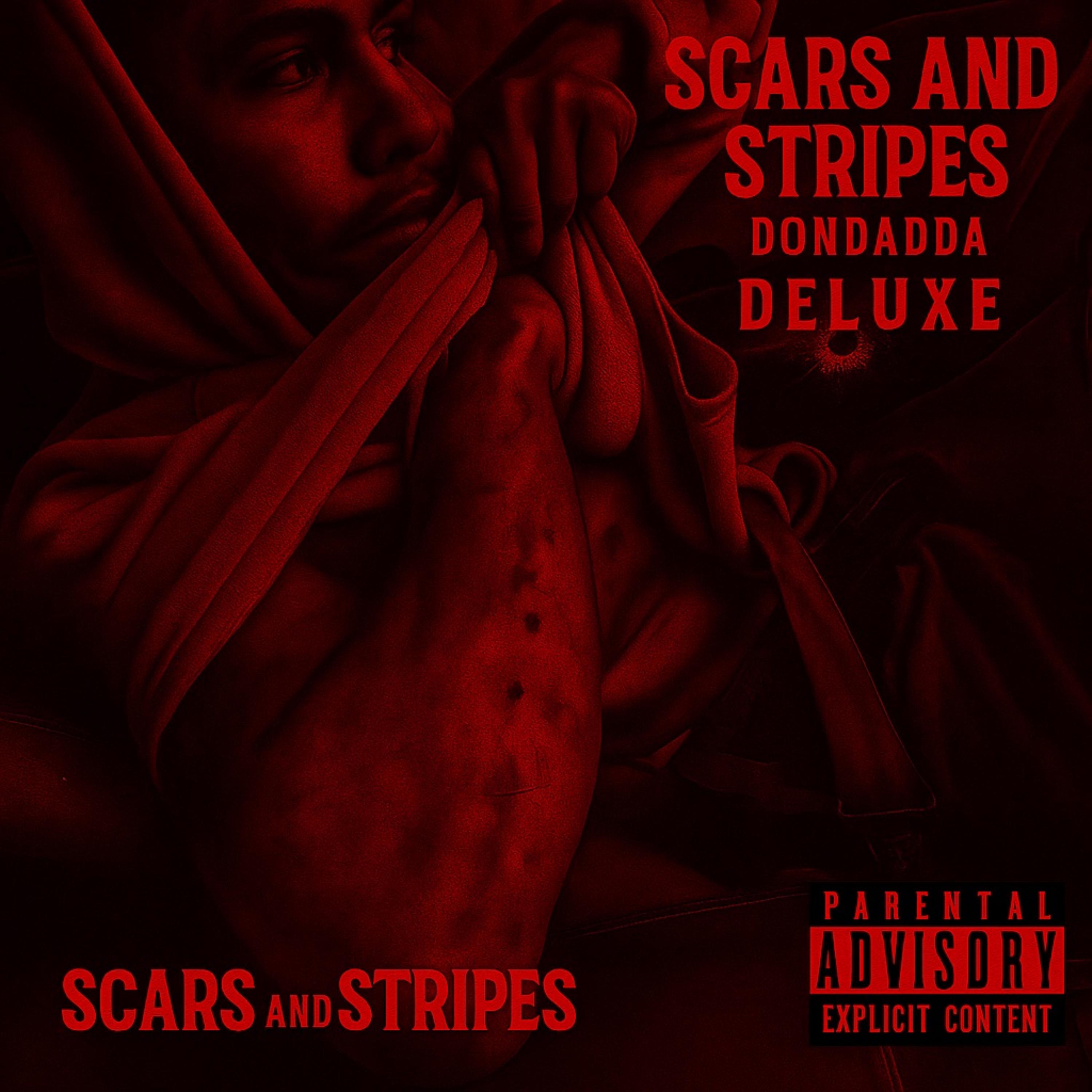 Scars & Stripes (DELUXE) artwork