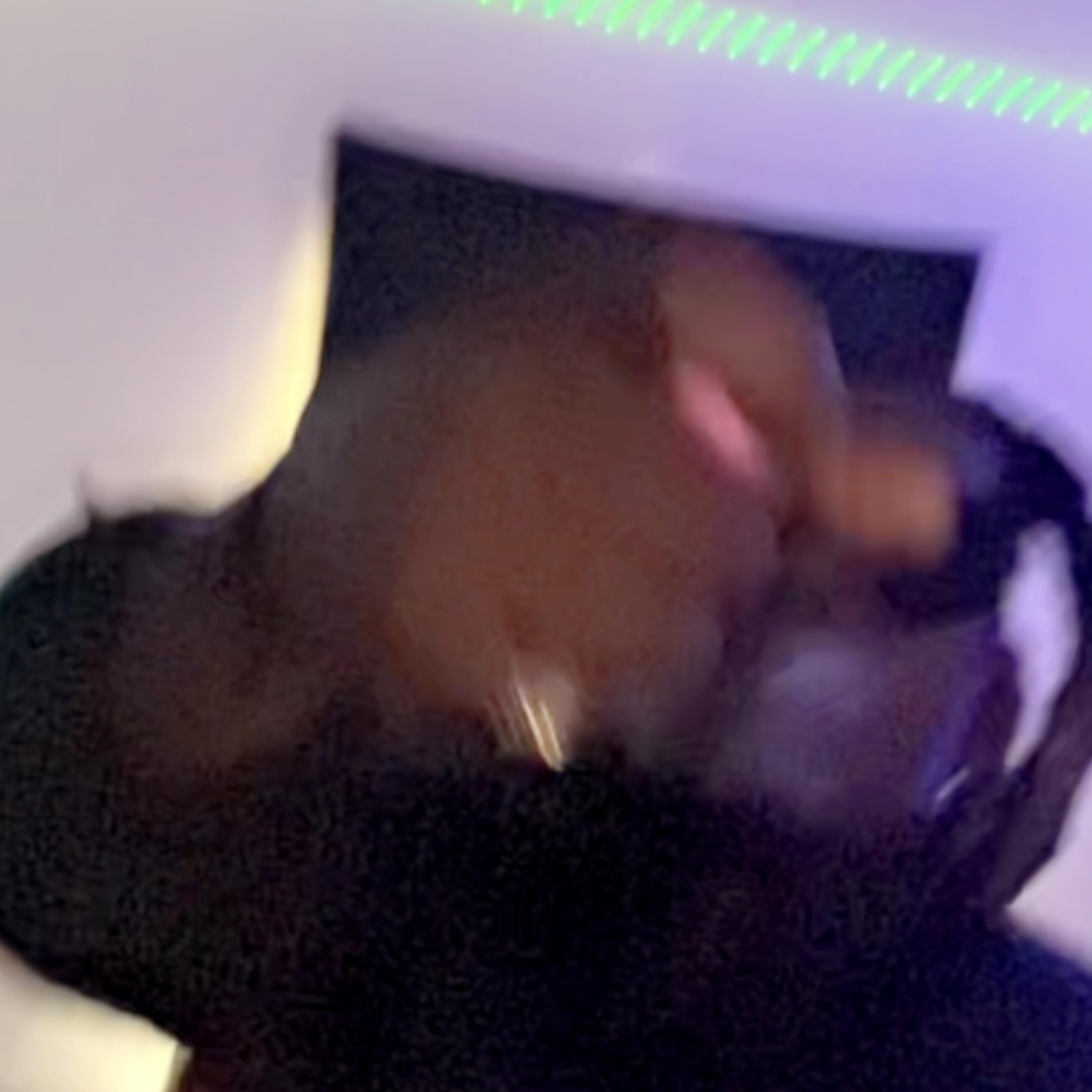 Scared To Say artwork