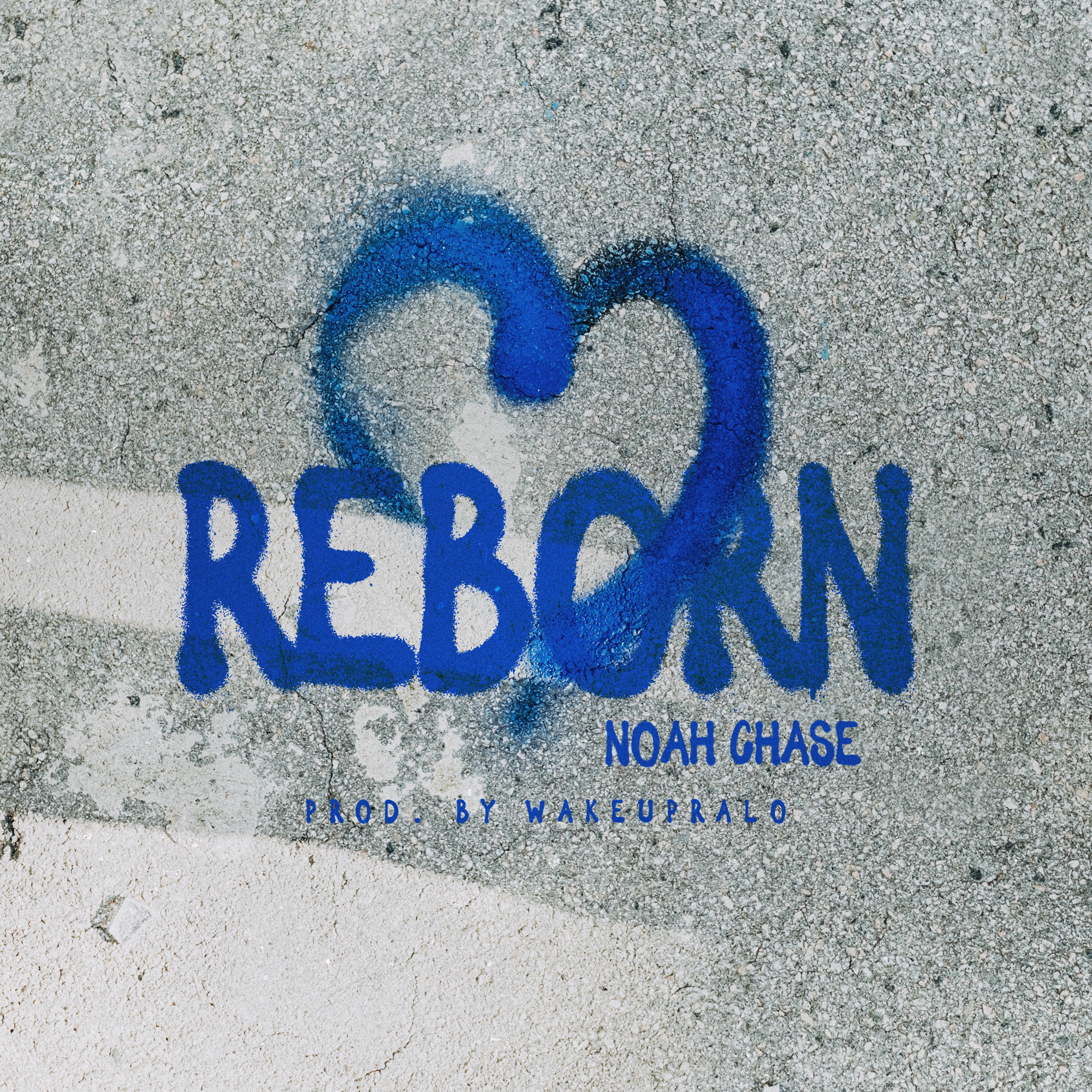 REBORN artwork
