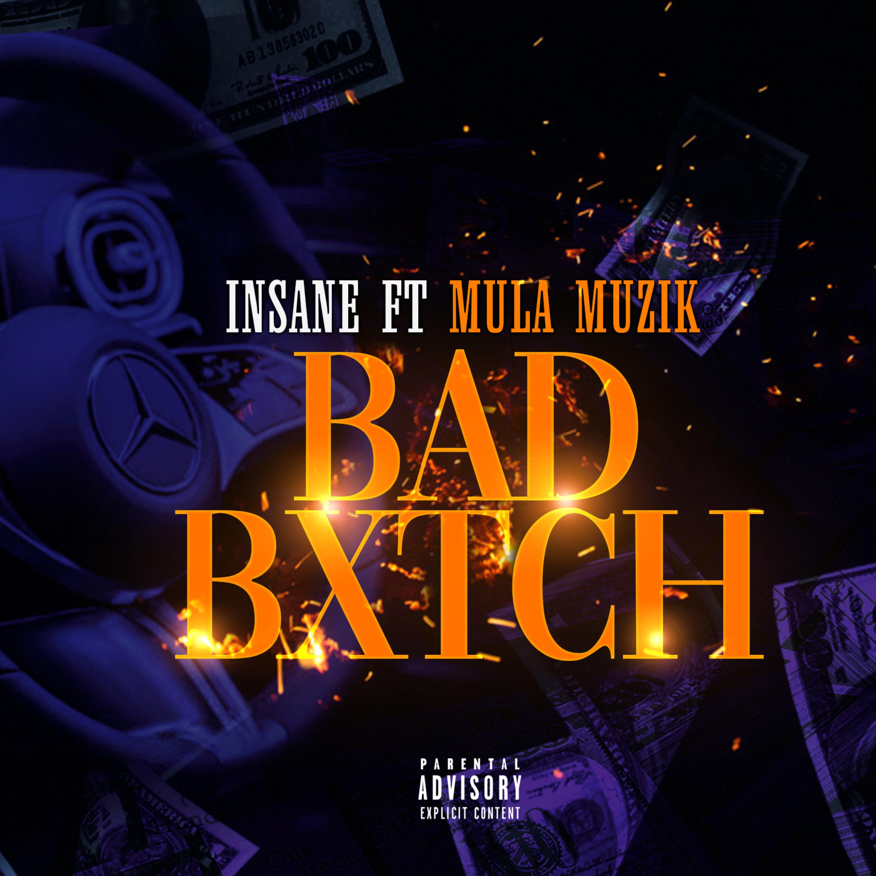 BAD BXTCH artwork