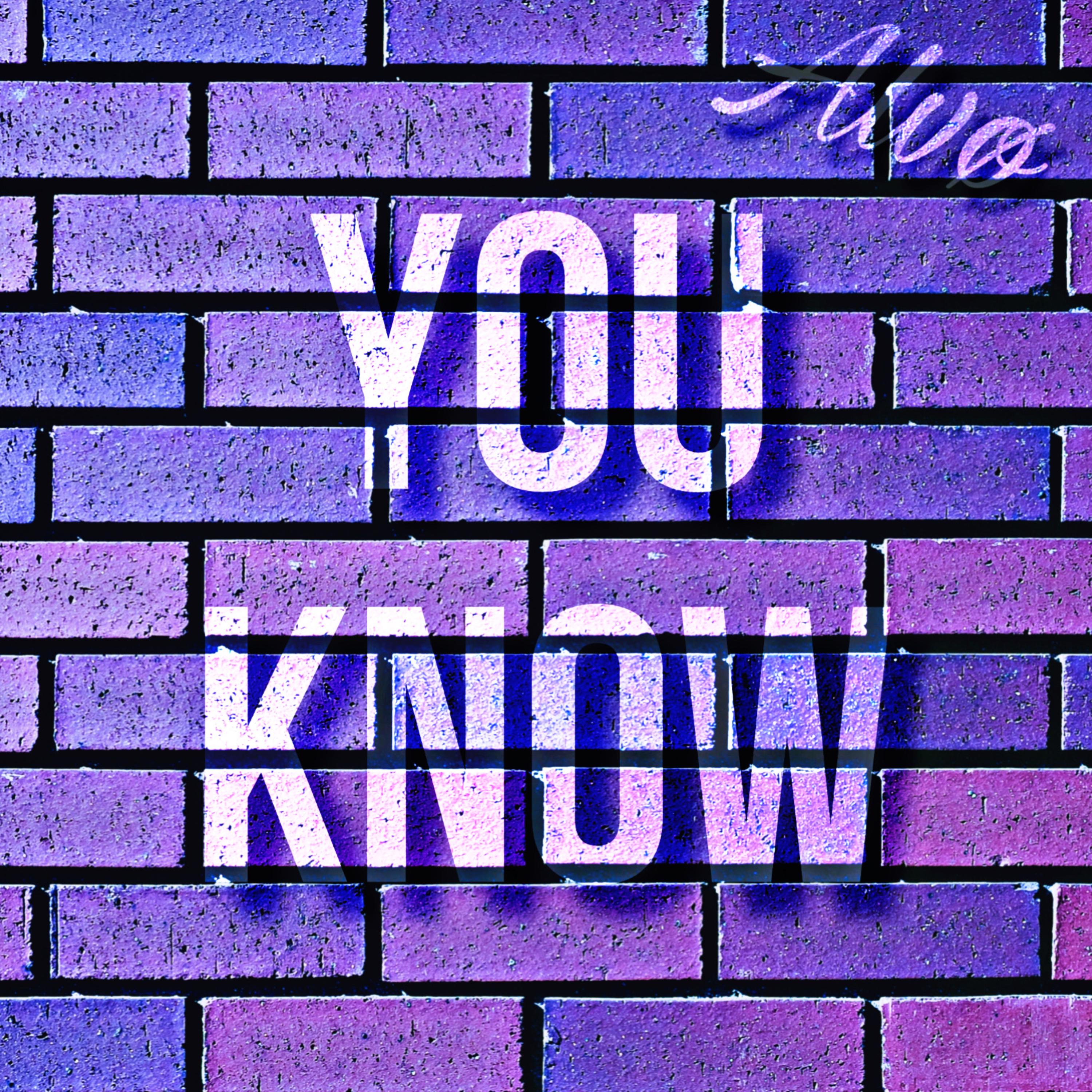 You Know by Alvø cover art